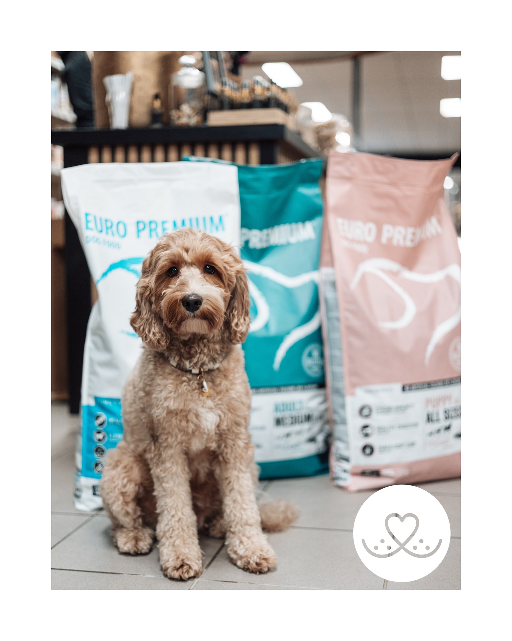 🐶 Heb jij voor je hond Euro Premium voer? Dan hebben wij goed nieuws!
💥 De hele maand september krijg je €10 korting op alle grote zakken Euro Premium hondenvoer!
Maar let op: zolang de voorraad strekt! Kom dus op tijd langs bij Snoet 🐾
#SnoetBorne #EuroPremium #HondenvoerActie #DierenwinkelTwente #DogLovers #VoedingVoorJeHond #Hondenliefde #Dierenspeciaalzaak #Borne #OndernemersTwente #Dierenzorg