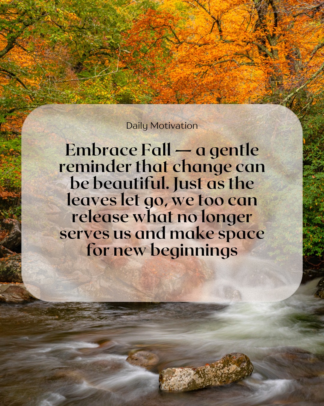 🌰 You don't need alcohol to enjoy autumn's magic.
Pumpkin spice lattes ✓
Cosy nights in ✓
Bonfire gatherings ✓
Harvest celebrations ✓
All of these hit differently (and better) when you're fully present for them.
This season, instead of numbing the beauty around you, what if you felt it all? The crisp air, the changing colours, the sense of renewal that autumn brings.
Your future self - the one who chose change this fall - is already thanking you. 🙏
Ready to make this your season of transformation?
.
.
.
#presentmoment #alcoholfreeautumn #feelitall #seasonaltransformation #chooseyourself #fallmagic #soberliving #changeyourhabits