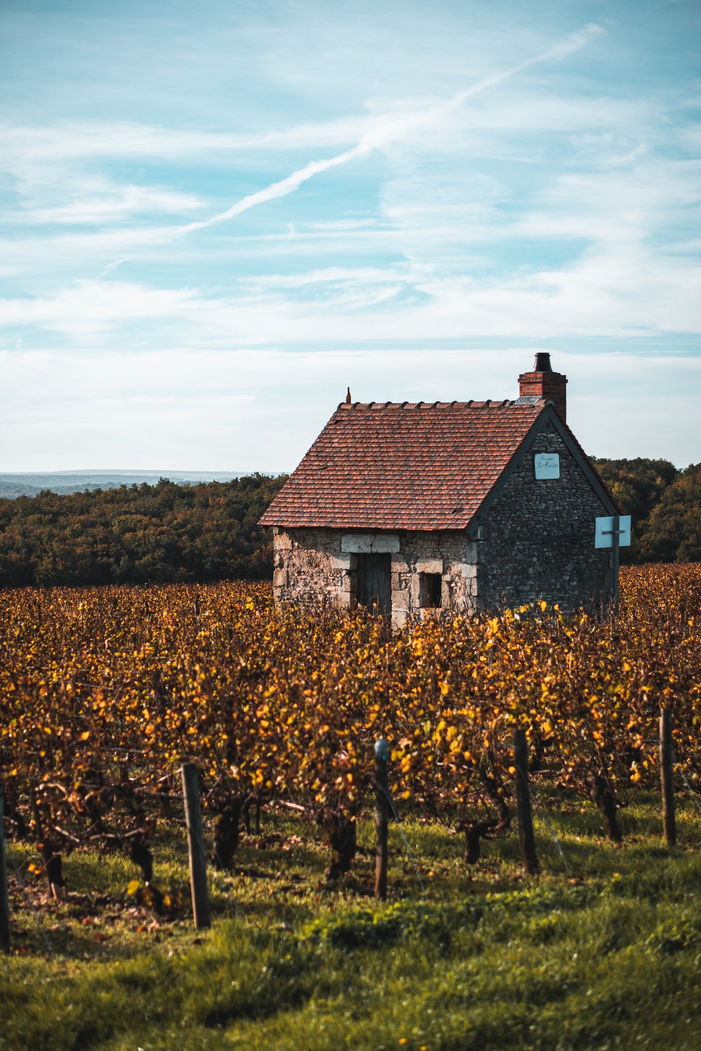 Les couleurs de l'automne subliment les vignes de Sancerre.
Cette petite bùtisse semble veiller sur un trésor.
Un paysage qui invite Ă la sĂ©rĂ©nitĂ©. đ
đ· Ad2T du Cher
#Loireenvie #Sancerre #Vigne #Automne