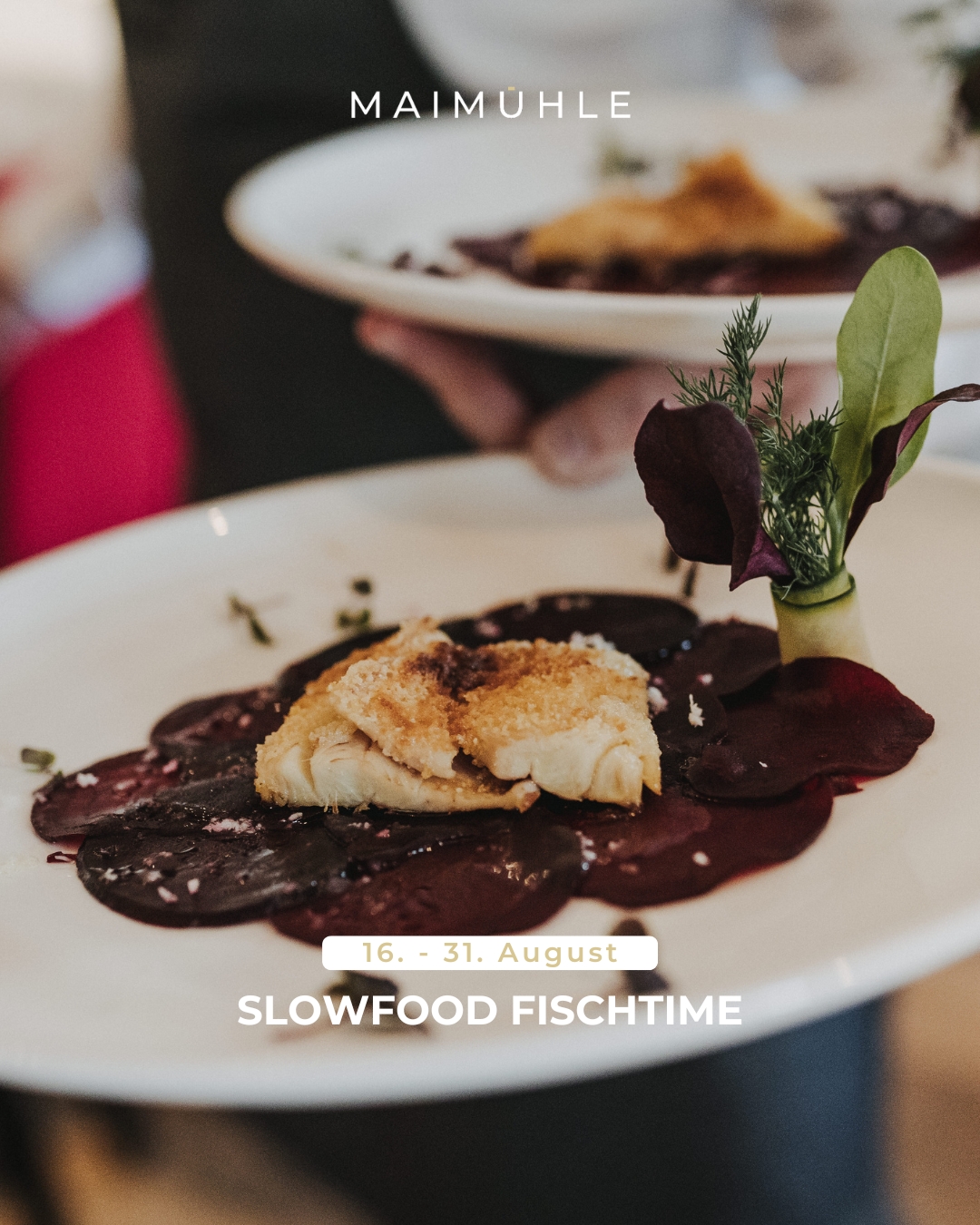 Slowfood Fischtime 2025 - noch bis 31. August!
Wieso in die Ferne schweifen? Speisefisch kommt oft aus fragwürdigen Quellen. Aber muss das wirklich sein? Bei der Fischtime 2025 zeigen wir, welche köstlichen und nachhaltigen Alternativen es gibt: Forelle statt Pangasius, Lachsforelle statt Lachs, Stör statt Seeteufel. Erleben Sie die Vielfalt der Fische unserer heimischen Gewässer, ganz ohne lange Transporte. Regional, kontrolliert, medikamentenfrei!
#Maimühle #SlowFood #Fischliebe #Perl #Reservieren