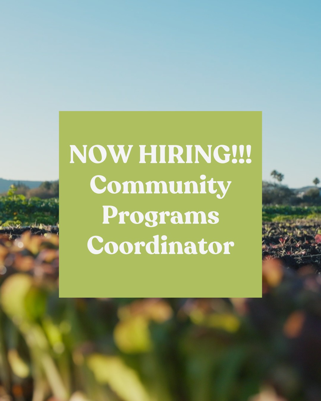 ๐ฃWe are hiring๐ฃ
See full job posting and application instructions at cityfarmslo.org/join-our-team
City Farm SLO is seeking a motivated, organized, and community-oriented individual to join our team as a Community Programs Coordinator. This person will support our growing community programs and play a key role in engaging volunteers, interns, families, and partners in our mission. This position is ideal for someone who enjoys working with people, building community, and contributing to a mission-driven nonprofit.
We look forward to hearing from you! ๐ฉโ๐พ
#slo #sanluisobispo #regenerative #nonprofitcareers #volunteerslo