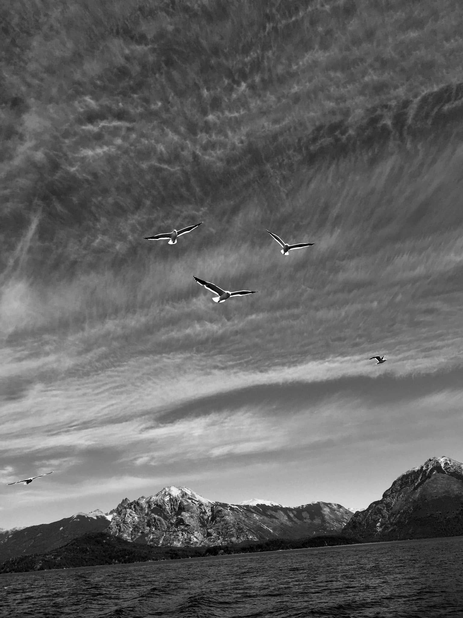 🗓️2️⃣7️⃣ AGOSTO POÉTICO🪶
Deja que te encuentren,
que te introduzcan a un vivir desconocido,
que cuidadosamente te traten,
como la pluma perdida de un ave,
que llenen de tinta verde
tu jardín desértico,
que te enseñen nuevos
gestos de amor,
que seas ese museo
que todos admiran,
que todos respetan,
que sientas que eres una galería
de figuras de humo.
-Juan Pablo