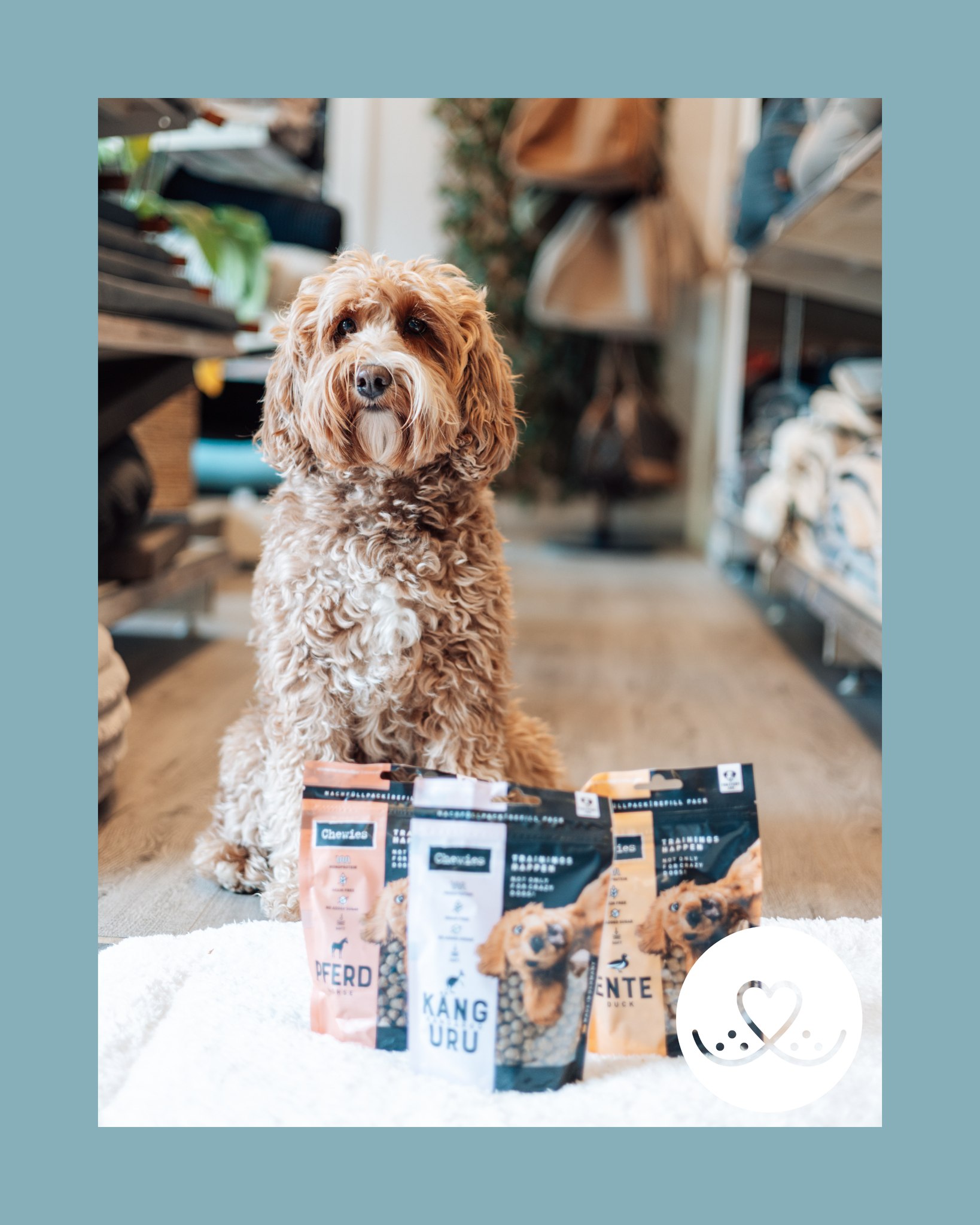 🐾 Snacktijd! 🐶
De hele maand september krijg je bij Snoet de 2e Chewie voor de halve prijs!
Perfecte kleine traktaties voor tussendoor, beloningen of gewoon om even lekker van te genieten.
Mix gerust verschillende varianten, zolang de voorraad strekt!
#SnoetBorne #ChewiesActie #Hondensnacks #DierenwinkelBorne #DogLovers #Dierenspecialist #DierenwinkelTwente #Borne #Snacktijd #SeptemberActie