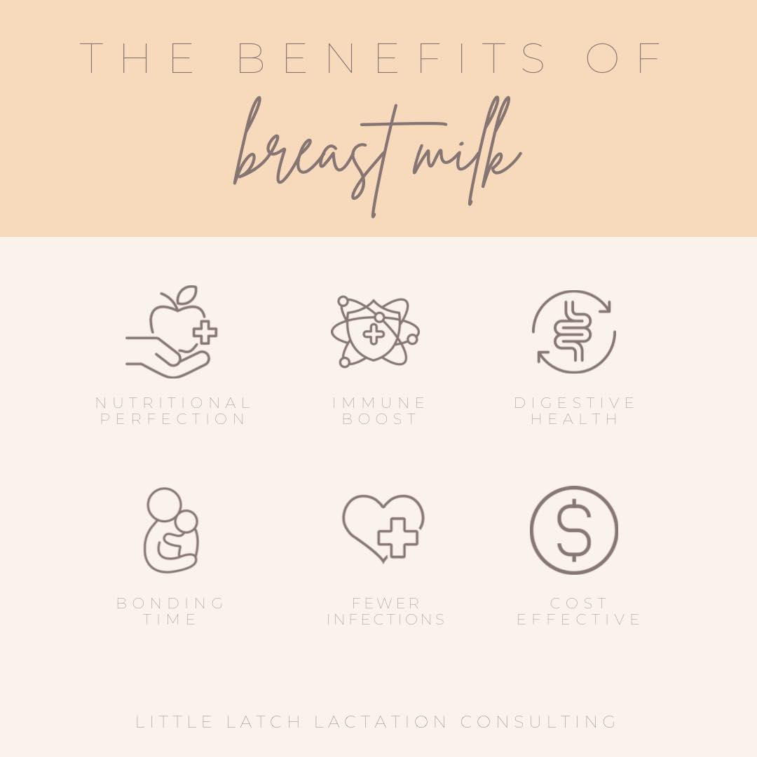 Why breast milk is amazing for your baby: 👶💛
✨Perfect nutrition: Contains the right balance of proteins, fats, and carbohydrates to support healthy growth and brain development.
✨Immune boost: Full of antibodies and immune cells that help protect your baby from infections and illnesses.
✨Happy tummies: Gentle on the digestive system and helps develop a healthy gut microbiome.
✨Fewer infections: Lowers the risk of ear infections, respiratory illnesses, and gastrointestinal problems.
✨Special bonding time: Skin-to-skin contact and eye contact during feeding strengthen parent–baby connection.
✨Cost-effective: Always fresh, ready-to-feed, and free compared to formula.
Every drop counts your baby’s health, development, and well-being, no amount is too little!