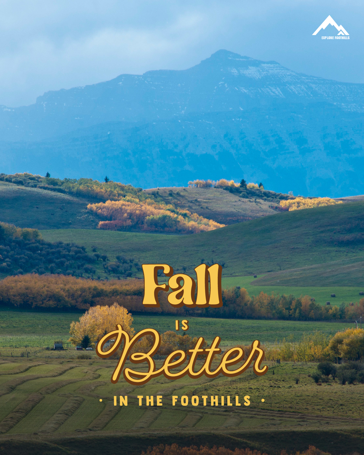 Fall is Better in the Alberta Foothills
There’s no place like the Foothills this time of year — where rolling hills turn golden, crisp air fills your lungs, and every view feels like a postcard.
This fall, escape the hustle and discover winding roads, cozy small towns, and nature’s vibrant canvas right here in Alberta. Whether it’s a scenic drive or a peaceful hike, the Foothills are calling you to experience the season in all its glory.
Come see why fall is better here. 🍂✨
#FallInTheFoothills #FallisBetterInTheFoothills #TravelAlberta #ExploreAlberta #TravelAlberta
#FoothillsAlberta
#WhereYouBelong #LocalsKnow