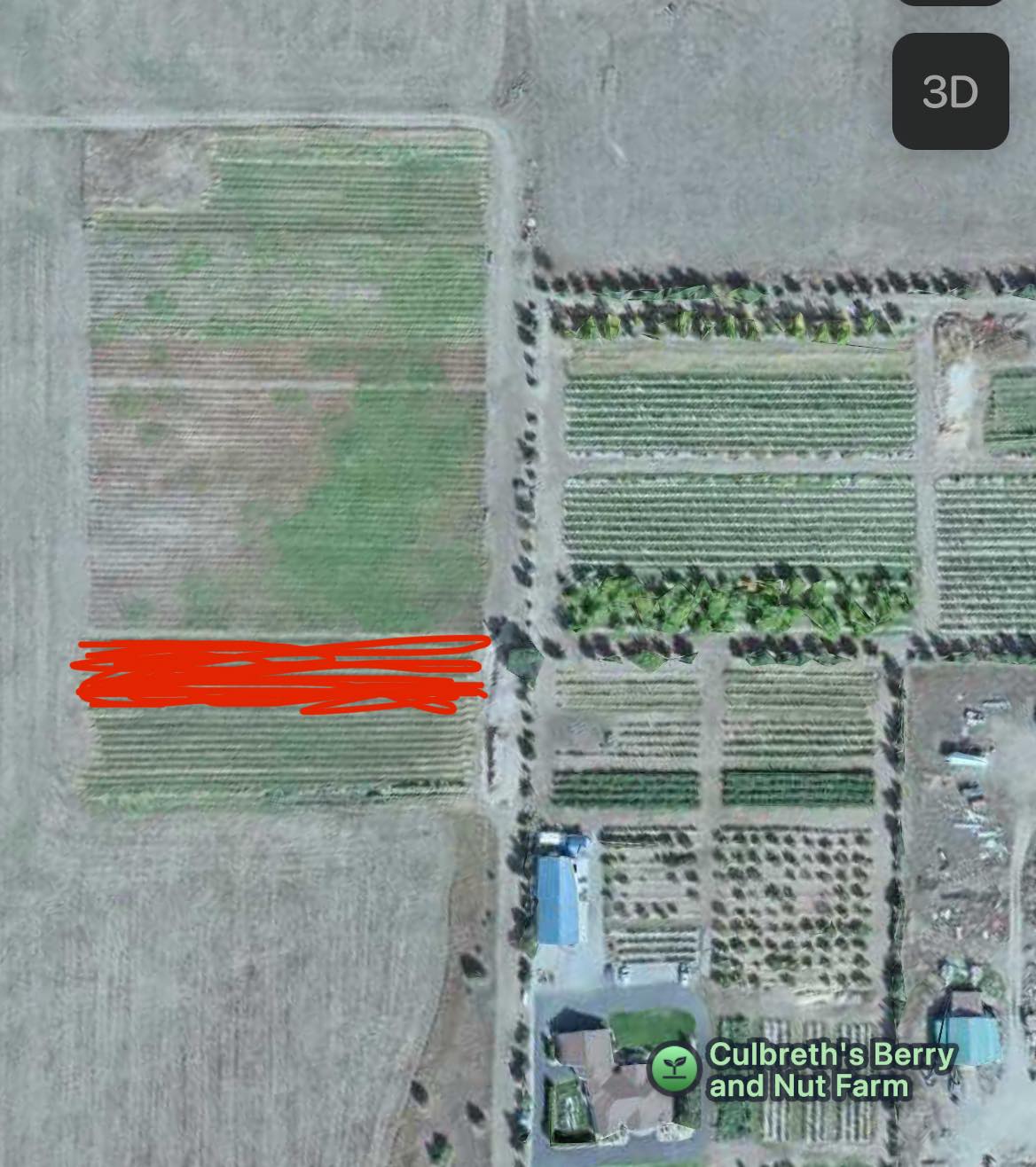 Blueberries are come at your own risk at this point. Since we are self serve we are still staying open. One lady still managed to pick 10 gallons yesterday so you can still find em!
Quite a few strawberries in the red lines in my photo. Green and purple flags at them. $3.75 a lb for strawberries.
$4.25 a lb for blueberries. Buckets and bags provided. Cash or Venmo.
Please use the Atlas entrance! 14872 N Atlas Road Rathdrum Idaho 83858
Drive past the strawberry stand and park parallel where the yellow lines are in my photo. Near the blueberry checkout stand. All the roads lead back to the center road so you don’t need to back out or anything, just drive forward and you will be able to make it back to the main road.
You can pick your choice of duke, blue crop, Huron, blue gold, top shelf, valor, chandler.
Again, use the Atlas entrance. Park near the center checkout out stand, not the strawberry stand. The strawberry stand does not have a scale at it right now.