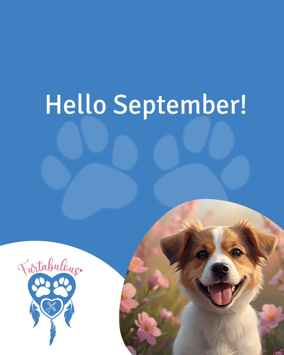 And hello Spring! 🌷
Just a friendly reminder that our new pricing kicks in today. ALL 3pm appointments will be charged accordingly from $150 each - these are specialised appointments that require 1-1 or 2-1 groomers for anxious dogs which is why they are set at a higher price.