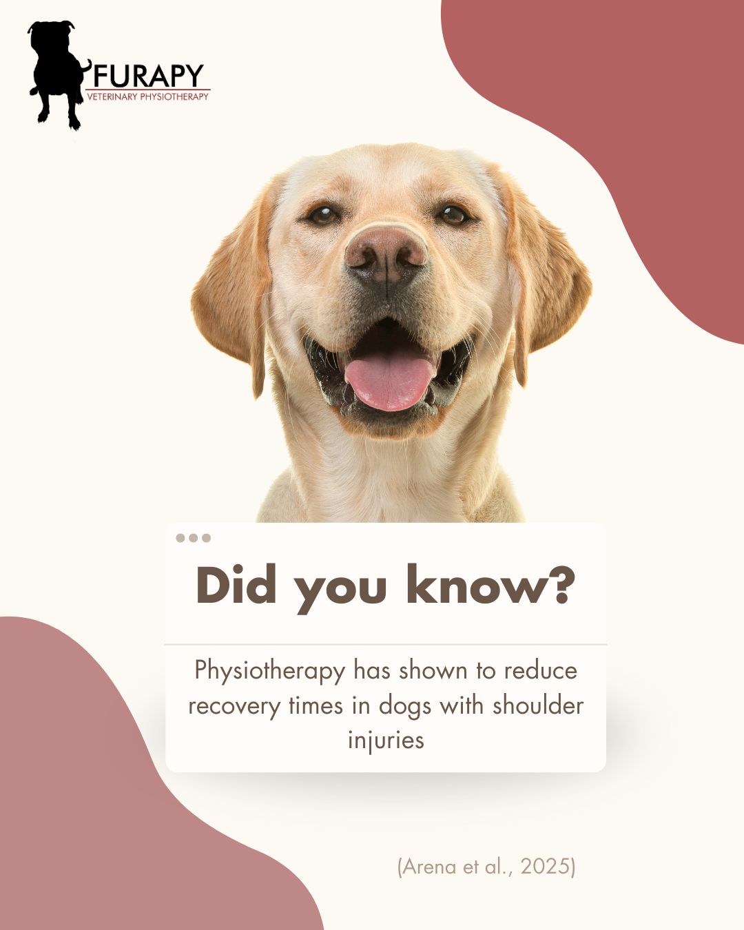 ✨Don't just take our word for it!
Recent research has shown that dogs with shoulder injuries heal FASTER with multimodal physiotherapy (laser, ultrasound, exercise & more).
💡 Main findings:
⏱️ Recovery in ~50 days (10 sessions)
🐾 90% back to full health in 4 months
🔦 Laser + ultrasound = 1 month faster healing!
At Furapy Veterinary Physiotherapy, this is what we do best—tailored, multimodal rehab to help your dog move pain-free, whether they’re an athlete or a cuddle champion. 💜
➡️ Ready to get your dog back on track? pop us a message today!