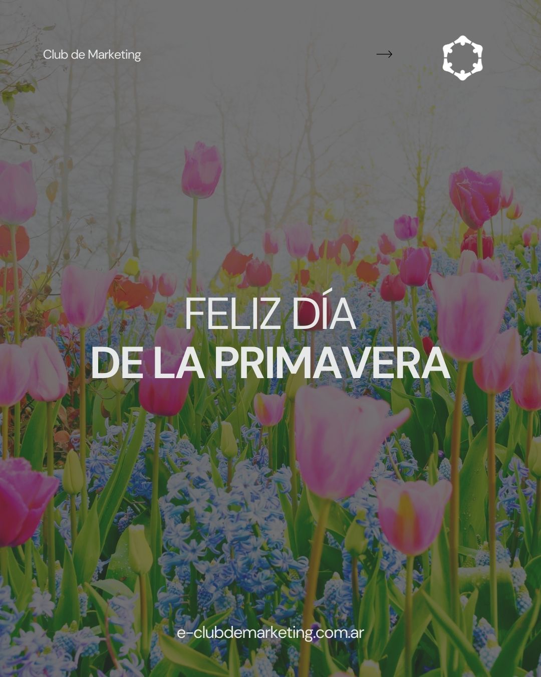 🌸✨ 29 de septiembre – ¡Feliz Día de la Primavera! ✨🌸
La primavera nos invita a renovarnos, crecer y florecer.
Desde Estudio Mercurio te deseamos una temporada llena de creatividad, inspiración y nuevos comienzos 🌱💡
📩 info@estudiomercurio.com.ar
🌐 www.estudiomercurio.com.ar
#EstudioMercurio #DíaDeLaPrimavera #CreatividadEnFlor #Marcas #Patentes #PropiedadIntelectual