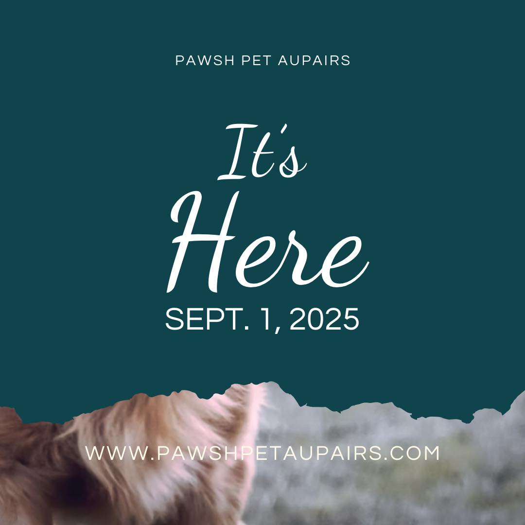 ✨ Big news, friends! Our website is finally LIVE! 🎉🐾
Check it out here 👉 www.pawshpetaupairs.com.
I’d love for you to take a look and let me know what you think—drop your thoughts in the comments below. Can’t wait to hear from you! 💙 #petsitter #pittsburghpets #dogwalkingpgh #pawshpetaupairs #PawshPets #websitelaunch #websiteislive #newpetsitterintown
