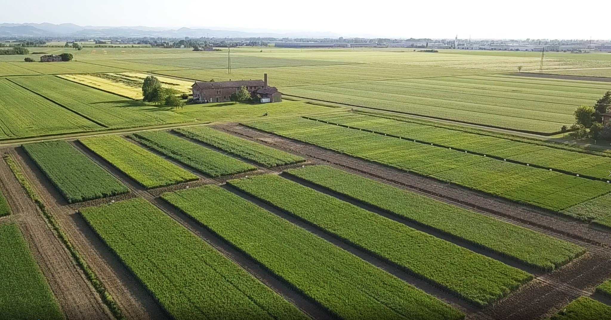 🌱 Innovazione e Tecnologia
Nel cuore della nostra azienda di ricerca, ci impegniamo costantemente per migliorare la qualità dei nostri prodotti. Con un approccio che integra l'ultima tecnologia e metodi innovativi, lavoriamo per aumentare la qualità, la produttività e la resistenza delle nostre sementi.
🔄 Qualità | Produttività | Resistenza
Ogni seme che produciamo è il risultato di un meticoloso processo di ricerca applicata, screening e taratura varietale. Questo ci permette di offrire prodotti che non solo soddisfano, ma superano le aspettative del mercato moderno.
🌿 Mantenendo i Valori della Tradizione
Anche nell'era dell'innovazione, i nostri valori rimangono radicati nella tradizione. Crediamo che la storia e l'esperienza siano fondamentali per forgiare il futuro dell'agricoltura.
👉 Scopri tutte le varietà:
📲 Scopri di più su www.semetica.it
CATALOGO 2025 👉 https://lc.cx/os7kBN
Affidati a SEMETICA per sementi di affidabilità e innovazione.
Unisciti a noi nel nostro viaggio continuo verso l'eccellenza. Con SEMETICA, la ricerca non si ferma mai e ogni scoperta apre la porta a nuove possibilità.
#SEMETICA #InnovazioneAgricola #SementiDiQualità #AgricolturaSostenibile