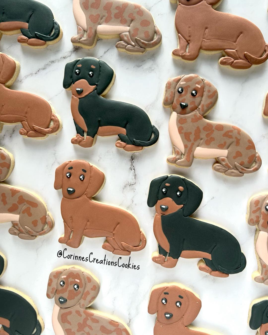 Adorable pack of dachshunds! My client was gifting these to her longtime vet. Such a cute way to say thank you!
.
.
.
#dachshund #dachshundsofinstagram #dachshundlife #dachshundpuppy #cookiegifts #thewoodlandstxcookies #sugarcookies #decoratedcookies #thewoodlandstx #customcookies