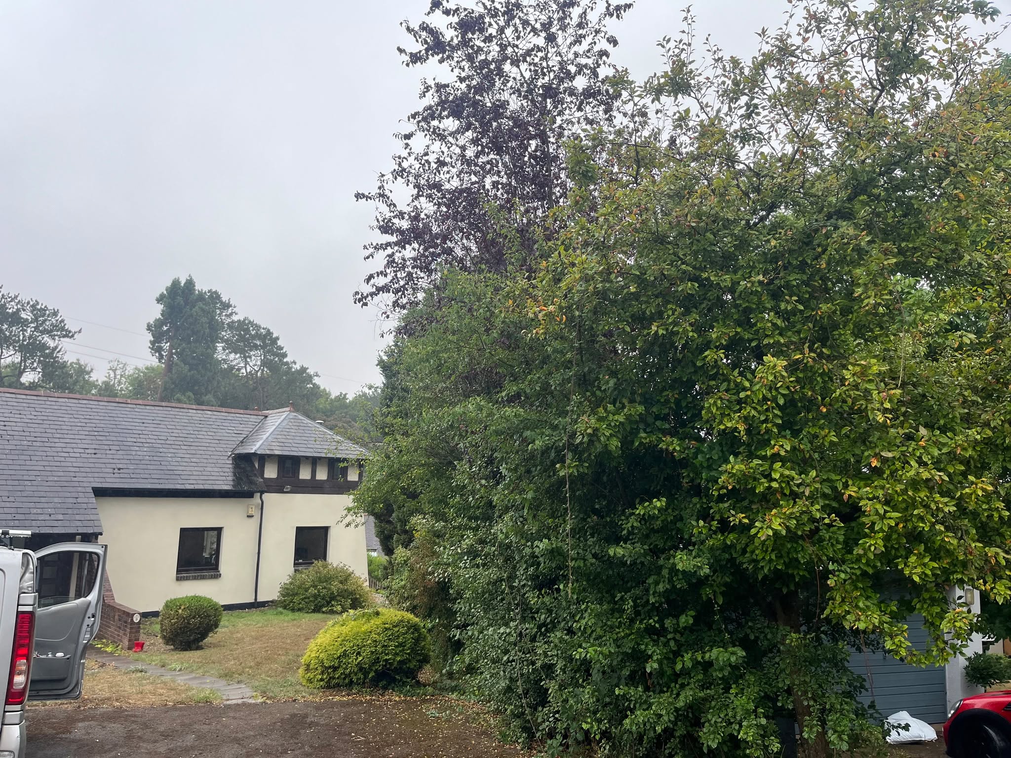 🌿✨ Garden Transformation at a Stunning Property ✨🌿
We’ve recently had the pleasure of working on this beautiful home – giving the garden the care and maintenance it deserved. 🌱
Our team:
✅ Cleared away tired, overgrown greenery
✅ Carried out expert gardening & maintenance
✅ Restored the outdoor space into a usable, well-kept garden once again
📸 The before & after pictures say it all – a complete refresh that makes the property shine.
👉 Whether it’s a one-off garden overhaul or regular maintenance, Four Seasons Maintenance has you covered. Get in touch today and let us bring your outdoor space back to life!
#FourSeasonsMaintenance #GardenTransformation #BeforeAndAfter #GardenMaintenance #OutdoorLiving #SupportLocal #LandscapingExperts #HomeImprovement