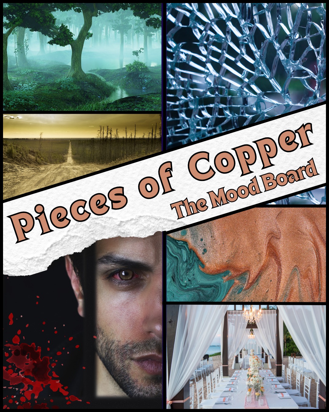 🖤Pieces of Copper: The Mood Board🖤
This story was inspired by images such as these:
🖤Forests that hide more than they reveal
🖤Shattered glass and fractured truths
🖤Blood that stains, love that scars
🖤Waves that swallow secrets
🖤Eyes that see too much
🖤Altars, cages, and the weight of survival
Every image carries a piece of what you will find inside Pieces of Copper. Danger, beauty, rebellion, and ruin.
I can't wait for you to step into this world with me. ARC signups are still open (link in bio).