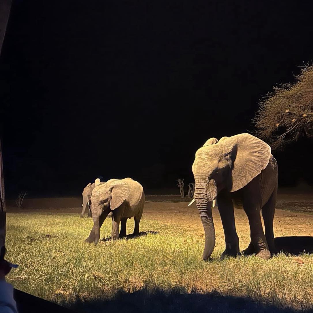 We can’t wait to be back in Botswana with our clients and we’ll be doing just that in just 42 days!
This years Sold Out THE GRAND TOUR leaves Cape Town on the 5th of October…
21 days, 5’800km’s, 5 countries and a whole lot of memories!!
Hands up who’s excited 🙌
You can find out more info here ⬇️
www.africanmotoadventures.com/the-grand-tour
#ridethewild #adventure #motorcycletours #Zambia #Zimbabwe #giraffe #travelling #motorycle #biker #southafrica #bikersofinstagram #tours #moskomoto #araihelmet #klim #adventureriding #notaholidayitsanadventure