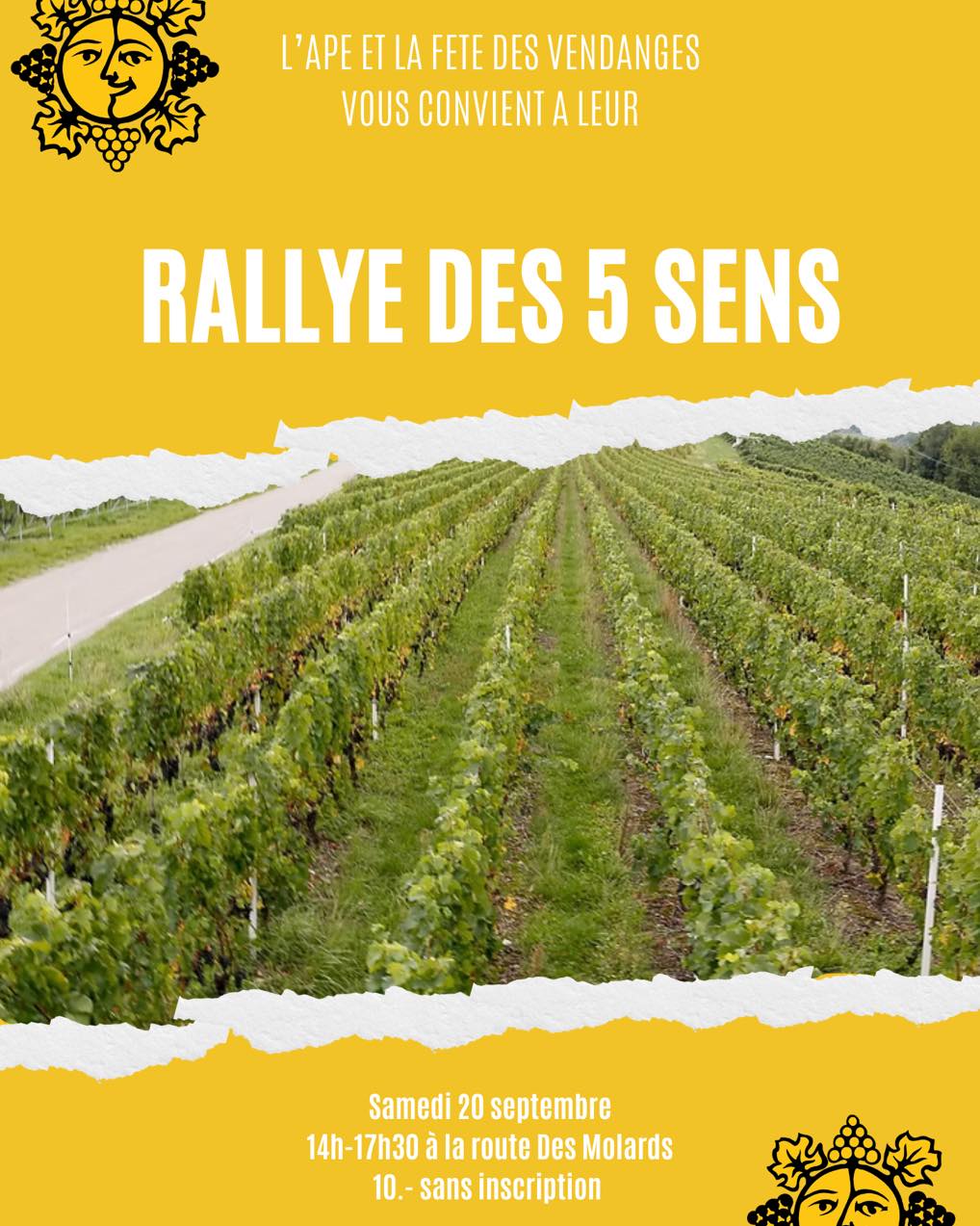 Le Samedi dès 14h, partez en famille pour un parcours ludique à travers le village, conçu autour des 5 sens. Une aventure sensorielle qui éveillera la curiosité des petits comme des grands !
Le départ se trouve sur la route des Molards en face de la buvette "Chez Elles".
Toutes les informations sur:
https://www.fetedesvendangesrussin.ch/fete-des-enfants
#fetedevillage #fete #russin #fetedesvendanges #musique #concertlive #vin #danser #aimerlavie #cortege #marche #marcheduterroir #geneve #geneva #campagne #vendanges #terroir #swisswinelovers #swisswine #concert #courdedegustation #produitduterroir #fetedesvendangesrussin #weekend