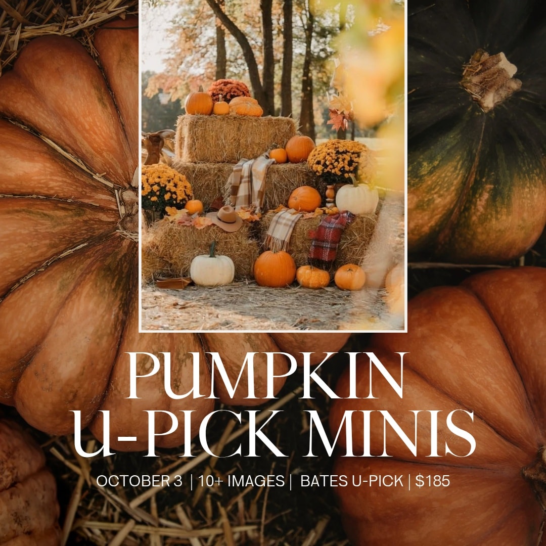 🎃✨ Pumpkin season is here! ✨🍂
Join me among the pumpkins for a cozy fall mini session filled with autumn colors, crisp air, and plenty of seasonal magic. Perfect for families, couples, or anyone who wants to capture the warmth of this season. 🧡
📸 Limited spots available – let’s make some pumpkin patch memories together!
Use the link in the comments to book yourself in!