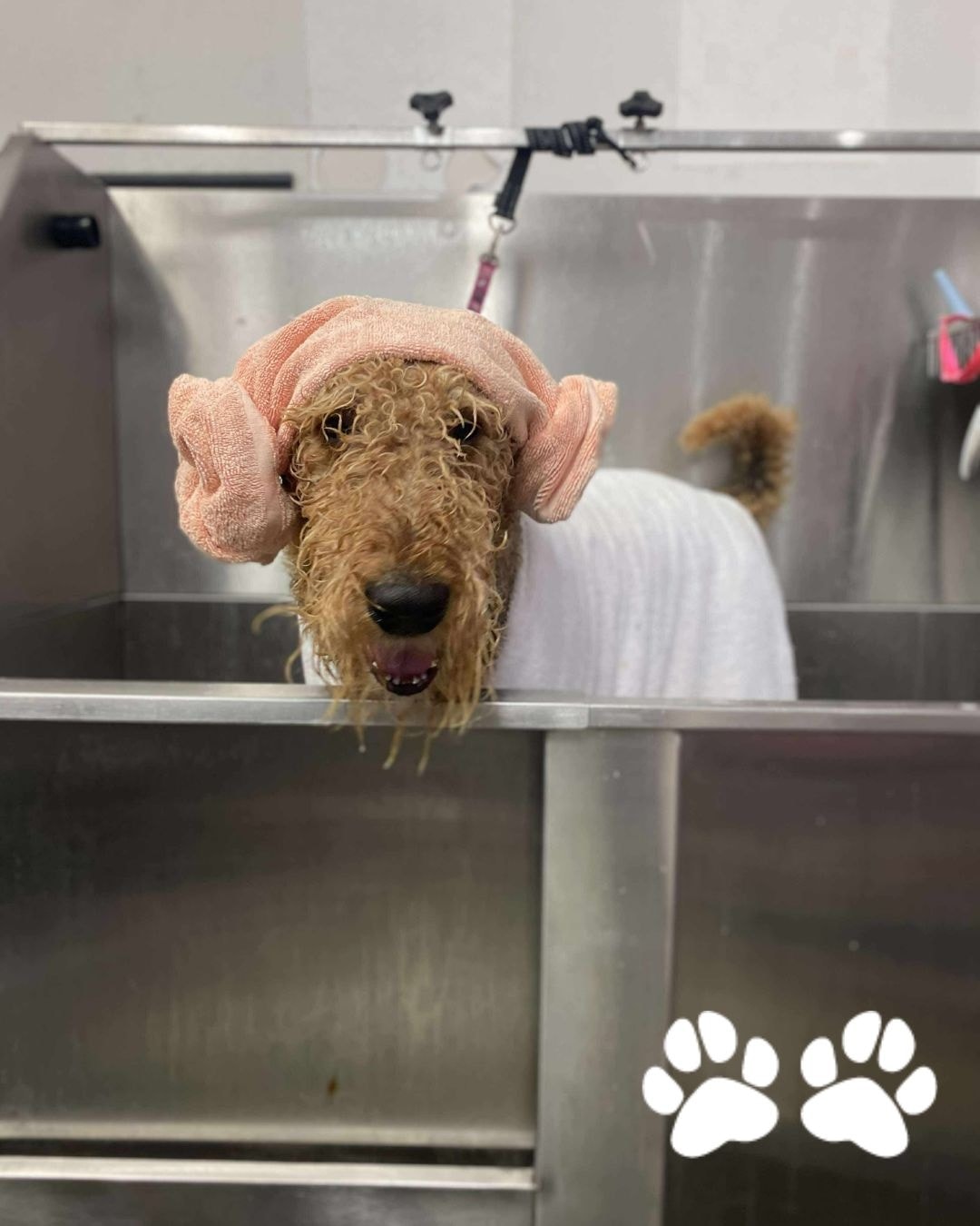 Spa day, anyone? 😍😅