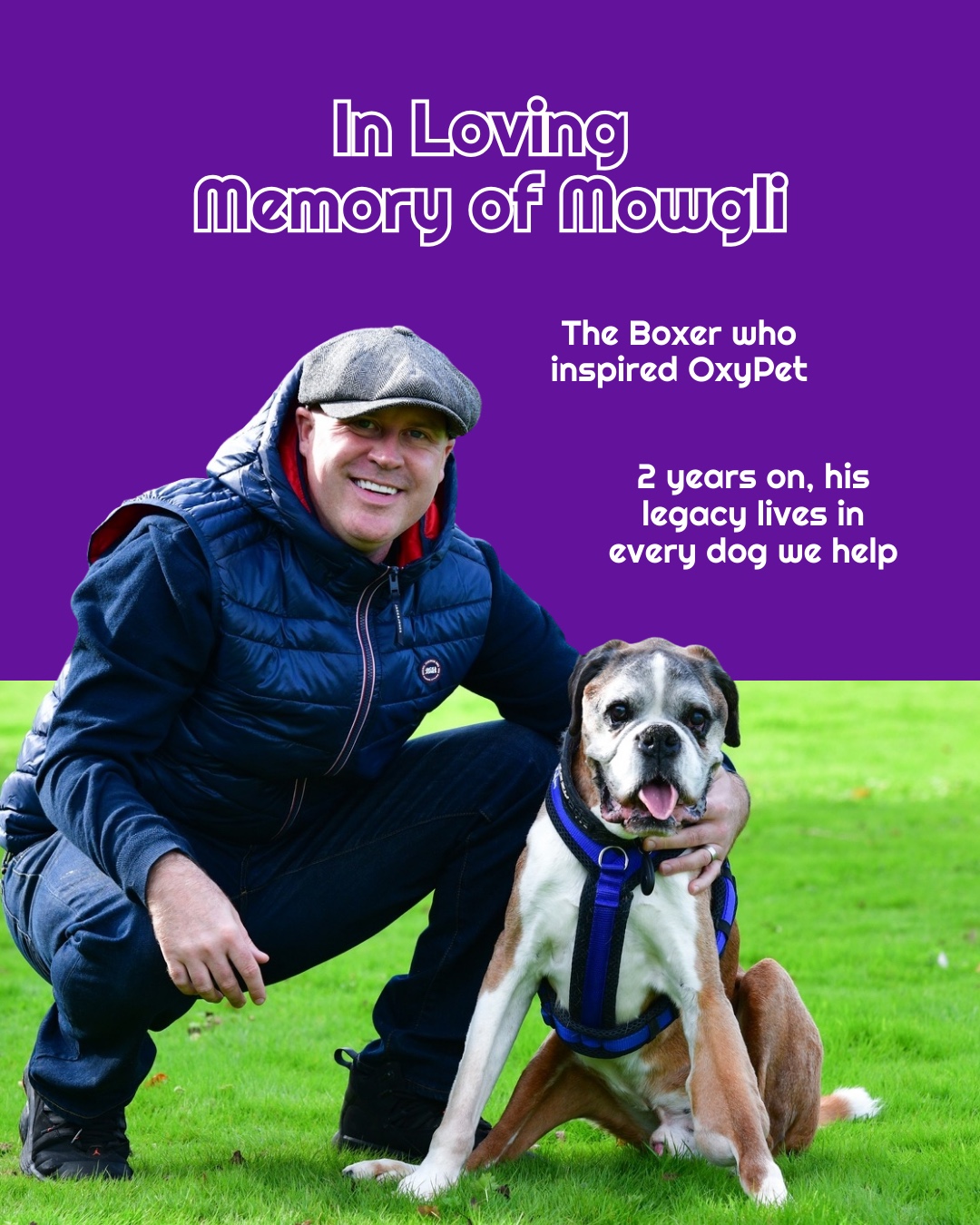 Today we celebrate the amazing Boxer dog Mowgli who’s journey started OxyPet
Two years ago today Mowgli gained his wings yet he still inspires everything we do at OxyPet.
The legend lives on in every dog he helps with this amazing oxygen water.
And we are only getting started!
🐾 Register now to be the first to know when we’re back: oxypet.co.uk/product-page/oxypet-oxygen-water-subscription