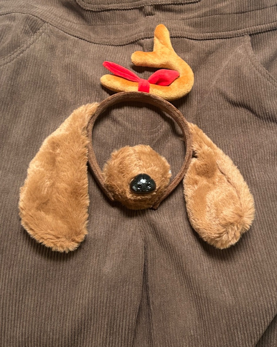 📚 FRIDAY AT 8 @girlprov is celebrating National Literacy month by honoring Dr. Seuss!
Max the dog will be at the show, and he's really excited about it! Due to some issues with his previous employer, Max has recently joined a union. Please don't ask him to carry anything or take you anywhere, as it would violate his contract.
Tickets are just $10, tap the link in our bio to get yours!
#pushcomedytheater #womenincomedy #neonnfk #visitnorfolkva