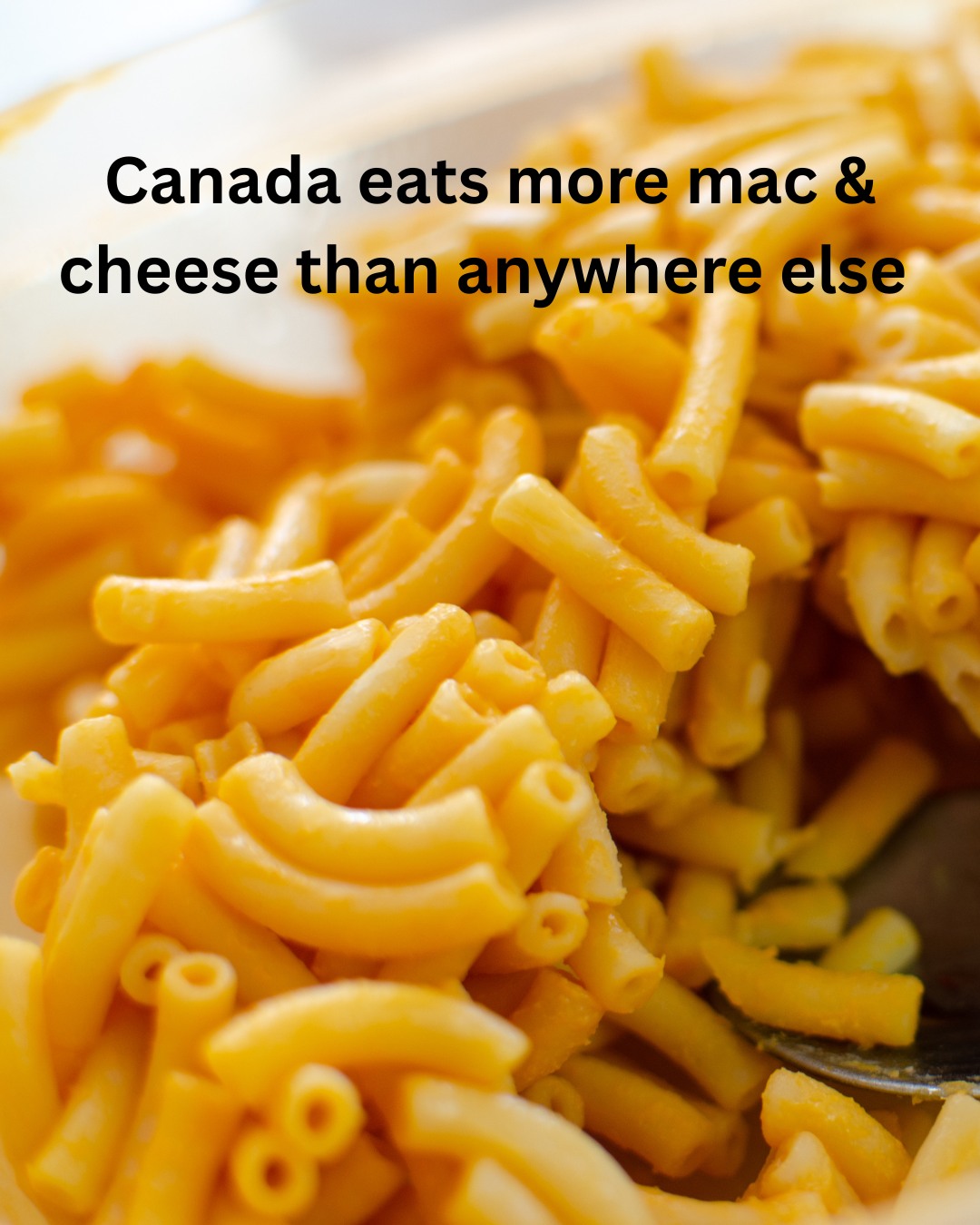 Fun fact about Canada:
Canadians eat more boxed mac & cheese per person than any other country in the world.
Kraft Dinner (aka “KD”) is practically a national dish — it’s so iconic that in the 1990s, Canada accounted for nearly 1 in 4 boxes sold worldwide.
It’s warm, it’s nostalgic, it’s quick… and it’s definitely part of Canadian cultural identity.
✨ Be honest: are you team “fancy mac” with breadcrumbs and cheese pulls, or team “blue box classic”?
#CanadaFacts #CulturalQuirks #FunFactsFriday #DidYouKnow #FoodHistory
