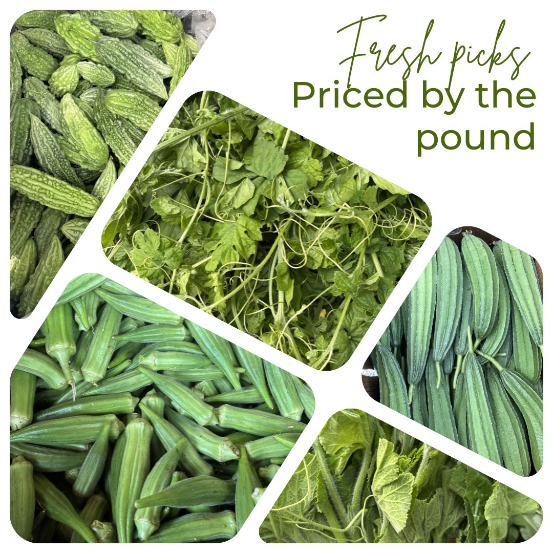 🥬 It’s veggie day! 🥬
Our fresh harvest has arrived — stock up on your favorites like okra, ampalaya, and patola. Available starting today at Ilocos & Island Foods x Poke Etc. ✨
#FreshProduce #IlocosAndIslandFoodsLV #PokeEtcLV #FarmToTable #FreshVeggies