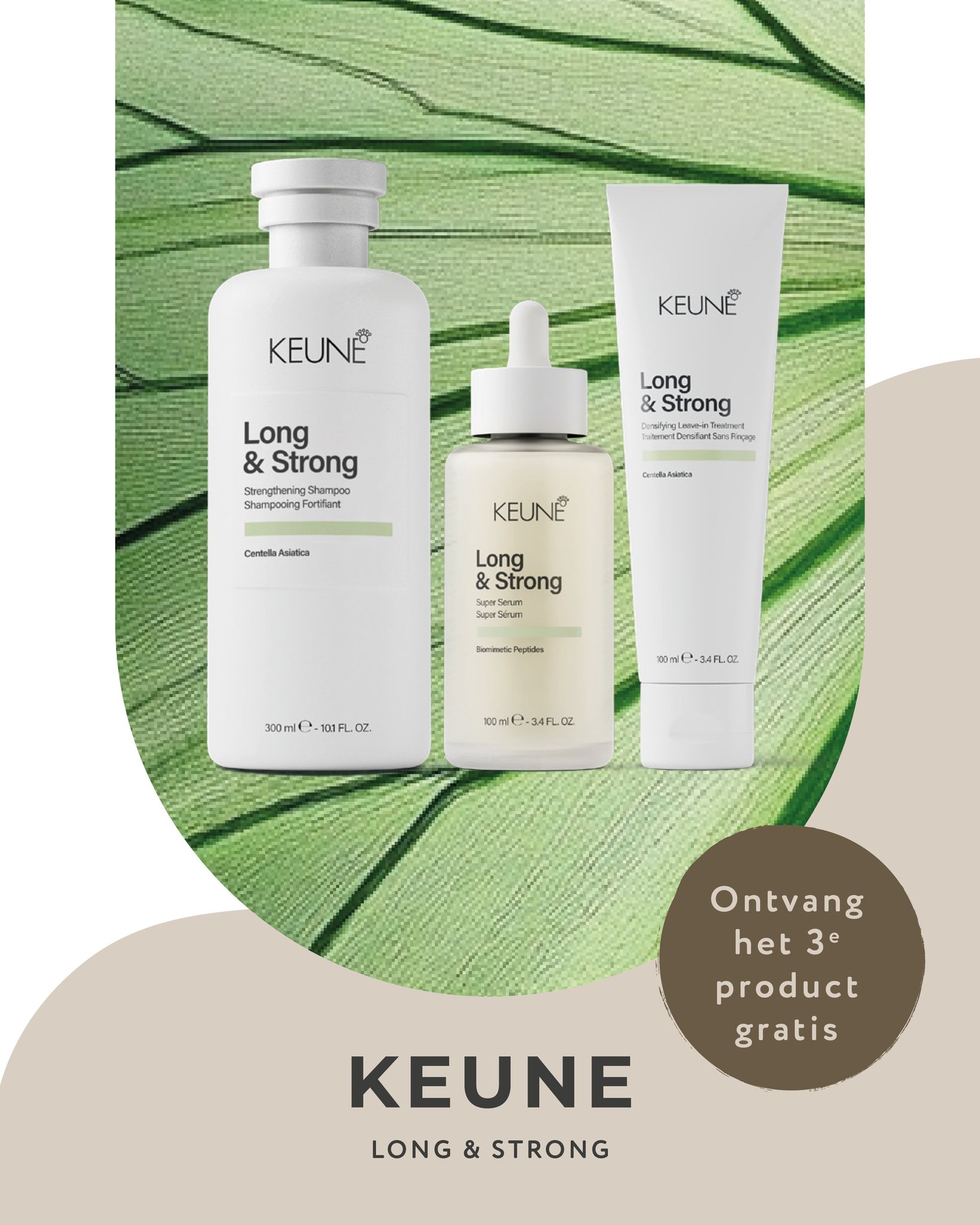 De vernieuwde Keune Care-lijn draait niet alleen om mooi haar, maar om bewezen resultaat. 🌿
Neem de Long & Strong-lijn. Ontwikkeld met biomimetische peptiden, extract van rode klaver en Centella Asiatica om je haar vanaf de wortel te versterken. De lijn - bestaande uit een shampoo, conditioner, leave-in treatment en het krachtige Super Serum - vermindert haarbreuk, ondersteunt de natuurlijke haargroei en zorgt voor voller, langer en sterker haar. Klinisch bewezen in 60 dagen: dit is écht Next Generation Haircare.
➡ Vergeet onze actie niet:
Kies je 2 Keune Care-producten, dan krijg je een Gua Sha kam cadeau, óf een derde product uit de Keune Care- of Stylelijn gratis. Perfect om jouw routine compleet te maken.
