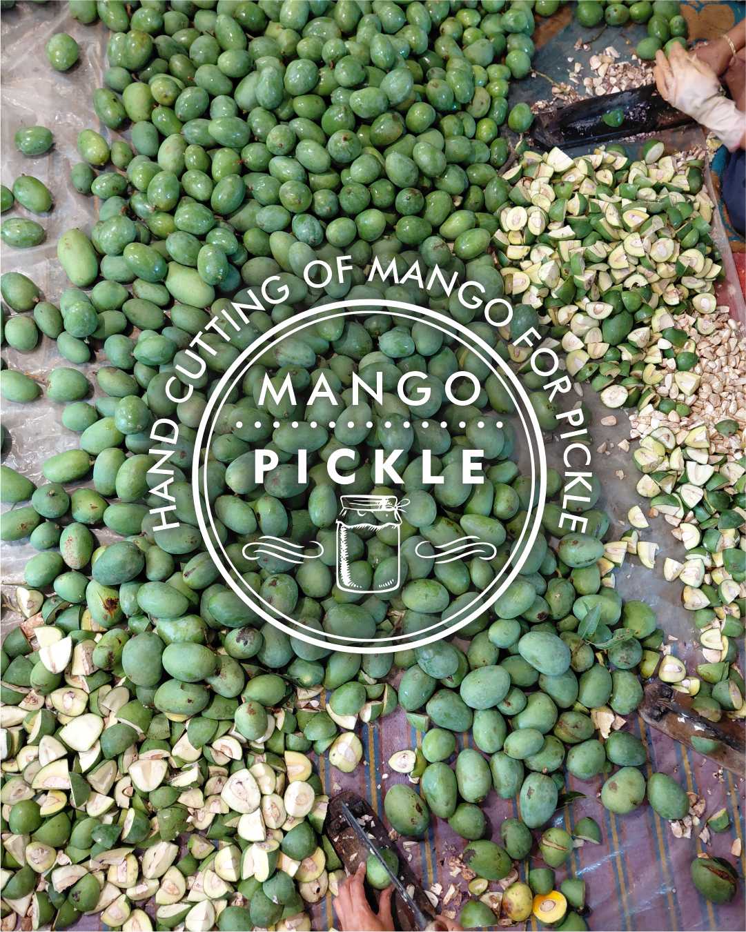 Hand-Cut Mango Pickle – Crafted with Care
Every piece of mango in our pickle is carefully hand-cut by skilled village women, using age-old techniques passed down through generations.
This traditional method preserves the natural texture and flavor of the mango, ensuring each bite is full of authentic taste and rustic charm.
#mango #preservativefree #naturalfruits #mangolove #mangoseason #tropicalfruit