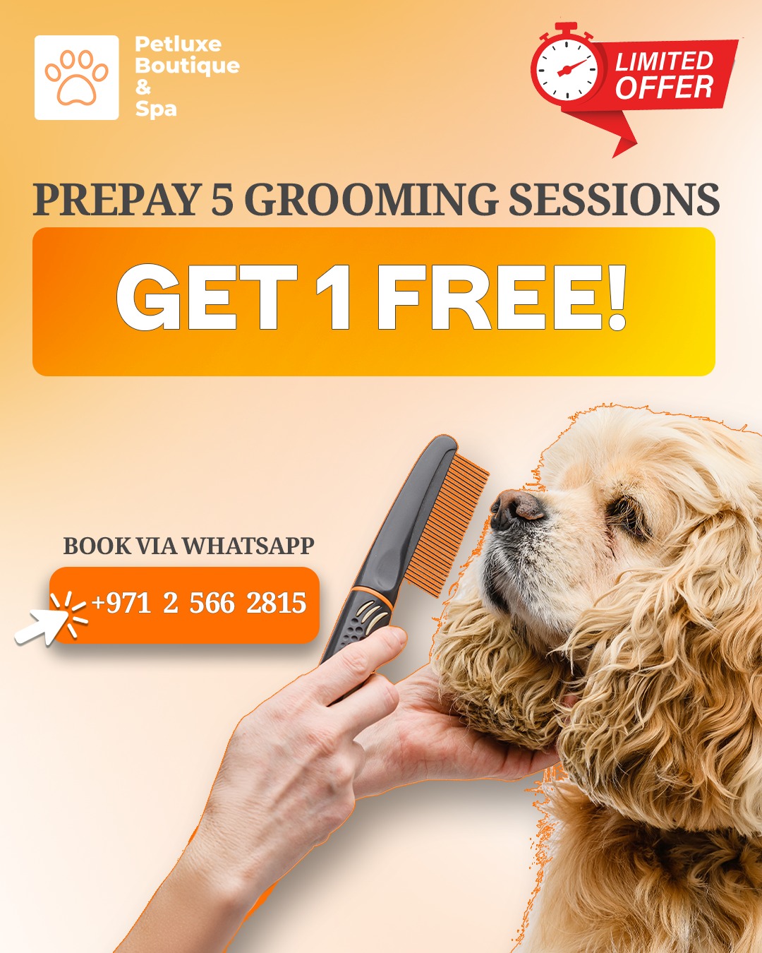 ✨ More Grooming. More Savings. ✨
Prepay for 5 full grooming sessions at Petluxe and get the 6th one FREE! 🐾
Because your pet deserves luxury care that keeps them looking fresh, healthy, and happy — every single time. 💛
📲 Limited time offer. Book now and treat your furry bestie to premium grooming:
📞 02 566 2815 | 📍 Al Hisn, Abu Dhabi
.
.
#SpecialOffer #PetGrooming #AbuDhabi #PetLuxe #Dubai #LimitedTimeOffer #Offer #Grooming #CatCare #PetGrooming