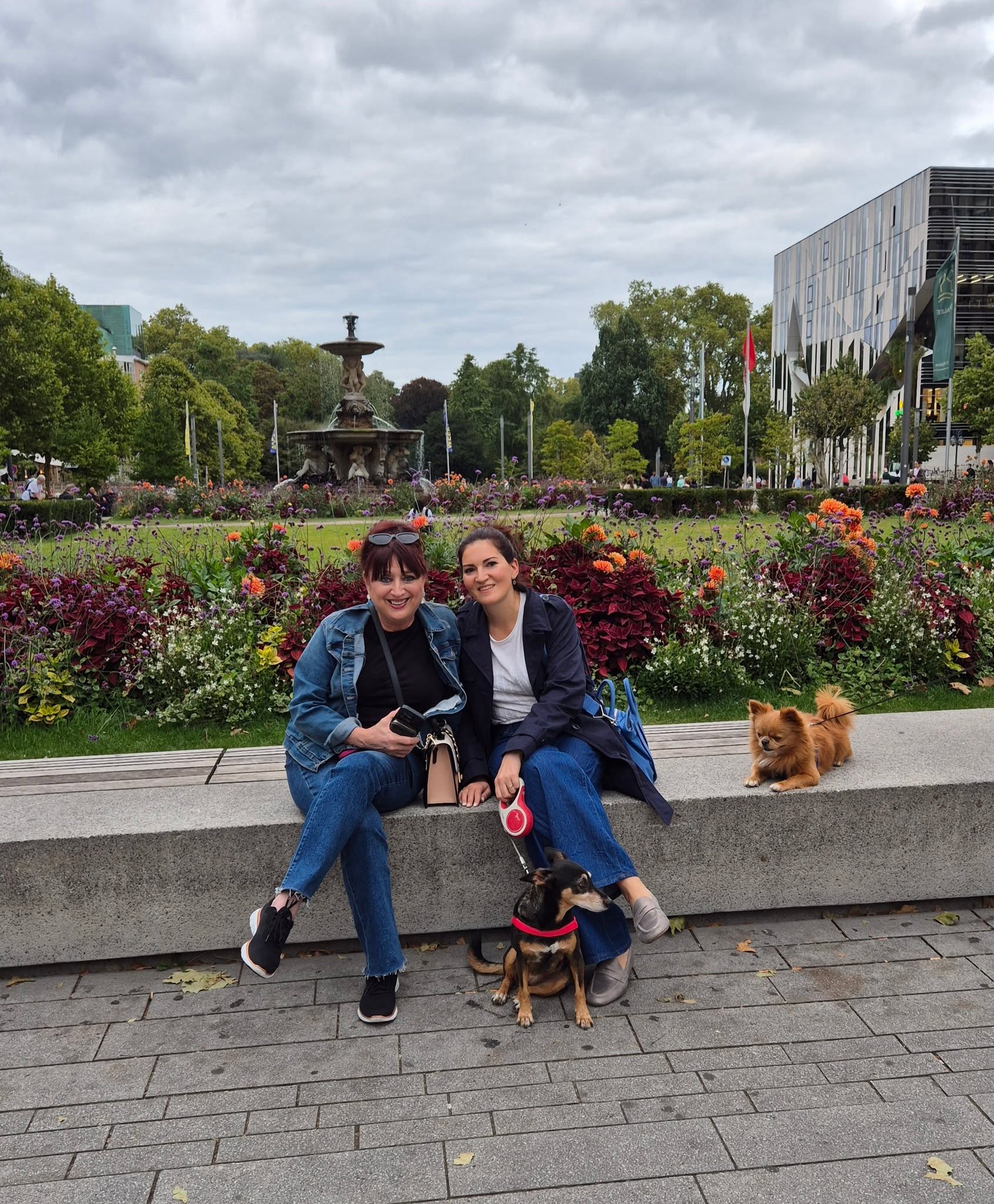 @bayafortepiano in Düsseldorf 😊🥰 and a pomeranian that was in love with Juani 🤣🤣🤣