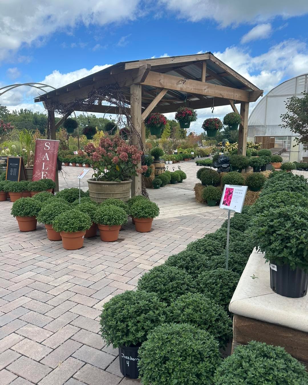 Fall is here at Spring Bluff!!!
We have everything you need for beautiful Fall Planters and front porch displays!
We’re open 10-5 today!
#gardencenters #gardencenterlife #gardencenter #stcharlesillinois #genevaillinois #bataviaillinois #sugargroveil #oswegoil #stcharlesil #auroraillinois #genevail #oswegoillinois #bataviail #sugargroveillinois #aurorail