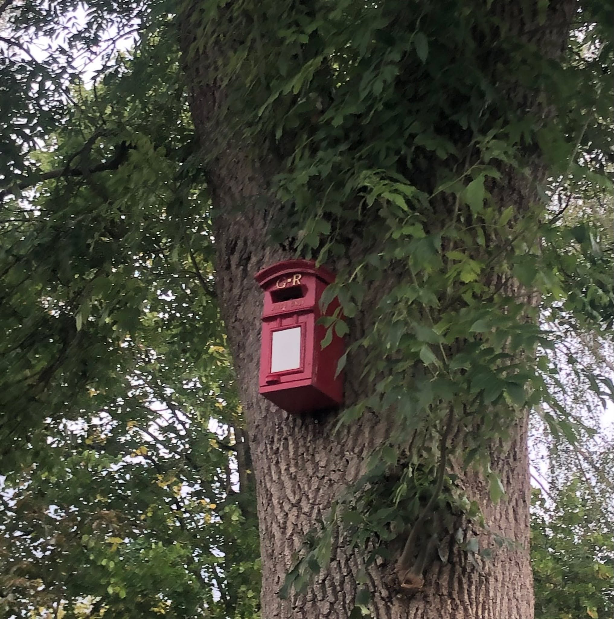 Chanced across this nesting box beautifully mimicking a post box (except it is tiny and half way up a tree) near the start of the #cotswoldway in #chippingcampden. Made me chuckle until my complaining knees demanded my attention.
#offbeatcotswolds #bluebadgeguide #bluebadgeguides
#britainsbestguides #Cotswolds #thecotswolds
#inthecotswolds #cotswoldcountry #Cotswolds_Culture #lovethecotswolds
#discoverthecotswolds #visitthecotswolds #discovercotswolds #cotswoldslife #cotswoldlife #thecotswolds
#your_cotswolds
#cotswolds #thecotswolds #cotswoldvillage #visitengland #englishvillage
#englishcountryside
#explore_britain_ #traveling_uk
#photosofengland #instabritain