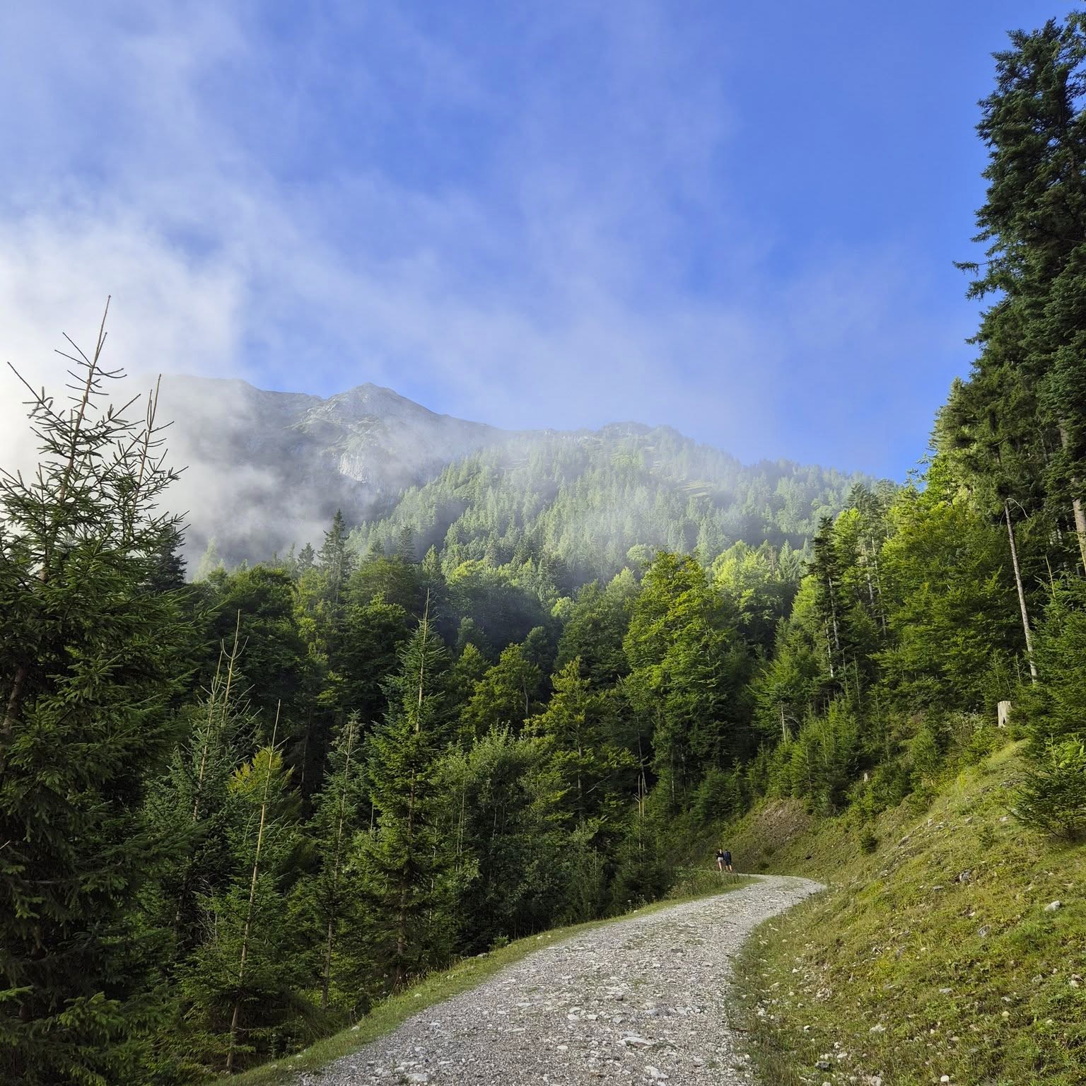 🏞️ Wanderung auf den Bärenkopf (1.991 m) am Achensee 🥾
Wer die Natur rund um den Achensee erkunden möchte, sollte die Wanderung auf den Bärenkopf nicht verpassen! 🌲✨
▪️ Startpunkt: Parkplatz am Gasthof St. Hubertus
▪️ Dauer: ca. 5 Stunden Auf- und Abstieg
▪️ Schwierigkeit: anspruchsvolle Wanderung – festes Schuhwerk und Wanderstöcke empfohlen
▪️ Highlights: traumhafte Panoramablicke über den Achensee, auf den Rofan und das Karwendelgebirge
Perfekt für einen Tagesausflug in die Natur – Abenteuer und Entspannung zugleich! 🌄💛
#Achensee #Bärenkopf #WandernTirol #NaturPur #Bergliebe #OutdoorAdventure #Berge #Seen #wandern #natur #gipfelglückundnaturgenuss #sonnesatt #loveit #landschaft #sunisshining