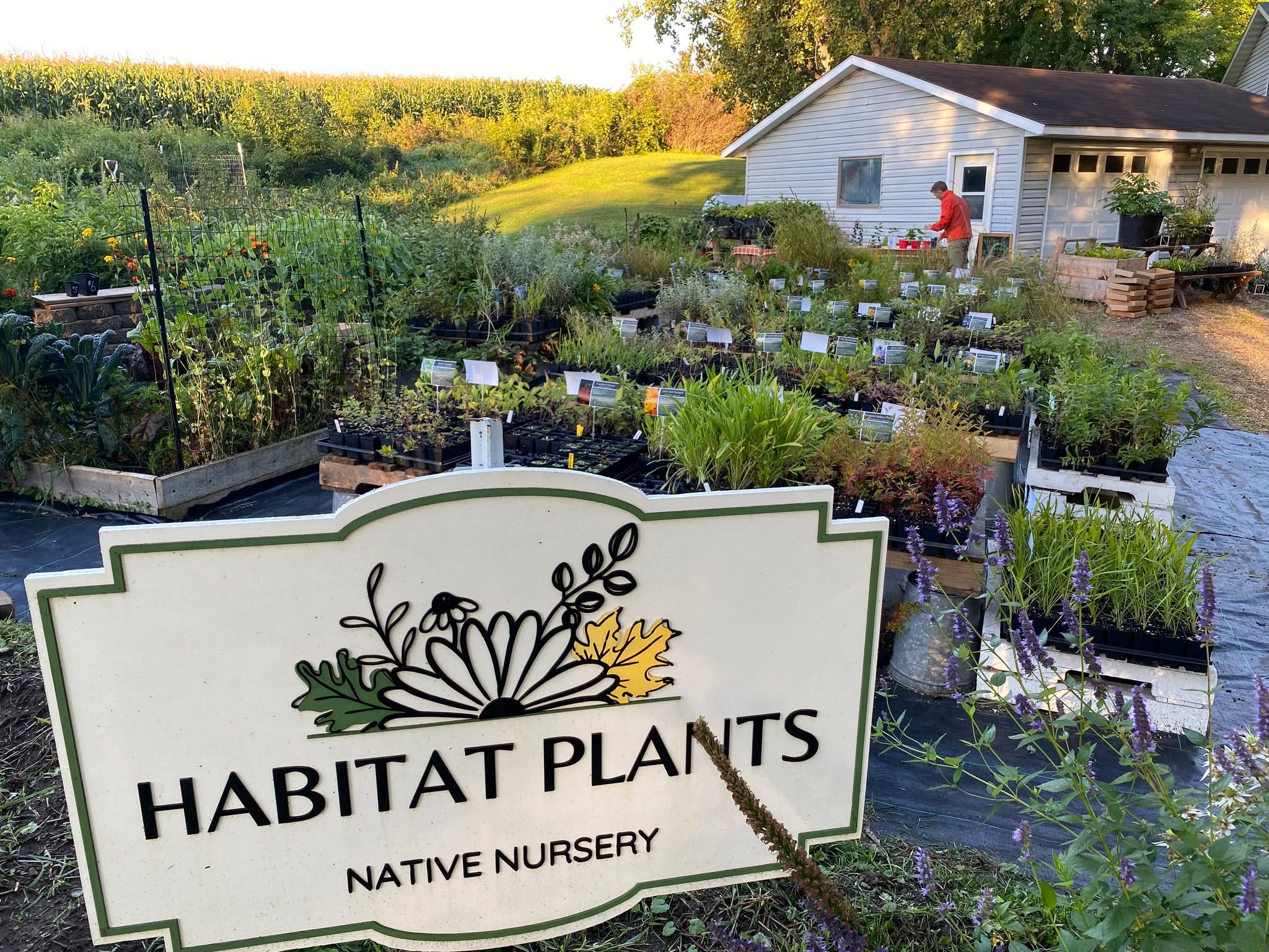 🌸 THANK YOU, PLANT FRIENDS! 🌸
Wow!! A HUGE thank you to everyone who came out to our plant sale on Saturday! 🙌🌿 We had so much fun meeting you, swapping plant stories, and geeking out over natives! 🐝🦋
The big sale may be over, but we’re not done yet! We’ll be open by appointment only until the weather shuts us down in October 🍂
🍁 Fall is the PERFECT time to plant natives! Cooler weather + autumn rains = happy roots and a head start for spring. 🌱
Let’s keep planting, growing, and making those pollinators proud! 🐛💚