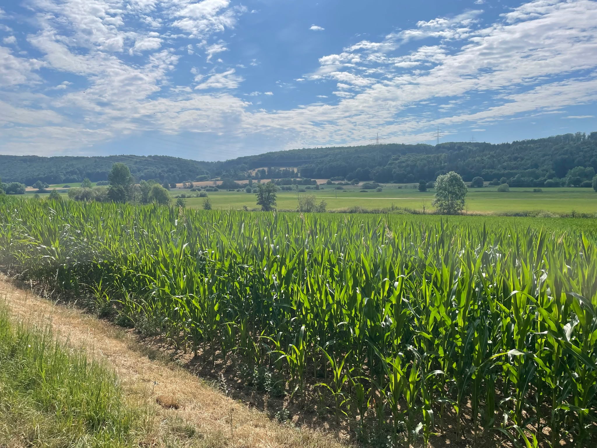 🚴♂️ Fahrradtour durchs Altmühltal: Pfünz → Kipfenberg 🌿
Eine wunderschöne Strecke für alle Rad- und Naturliebhaber: Von Pfünz aus geht es durch das idyllische Altmühltal, vorbei an sanften Flusstälern, historischen Burgen und malerischen Dörfern. 🏰🌾
▪️ Distanz: ca. 40 km (hin und zurück)
▪️ Dauer: 2,5–3,5 Stunden je nach Tempo
▪️ Schwierigkeit: leicht bis mittel – für Familien und Freizeitradler gut geeignet
Genießt die perfekte Mischung aus Aktivität, Kultur und atemberaubender Landschaft! 🌳🚴♀️💛 Sehr schöne Tour, die zum Verweilen an sovielen schönen Ecken einlädt. Nehmt eure Picknickdecke mit und genießt die Natur in vollen Zügen.
👉 Der Radweg ist sehr gut beschildert
#Altmühltal #Radtour #Pfünz #Kipfenberg #NaturErleben #Radliebe #OutdoorAdventure #Seen #natur #essen #gipfelglückundnaturgenuss #bergliebe #sonnesatt #loveit #landschaft #sunisshining