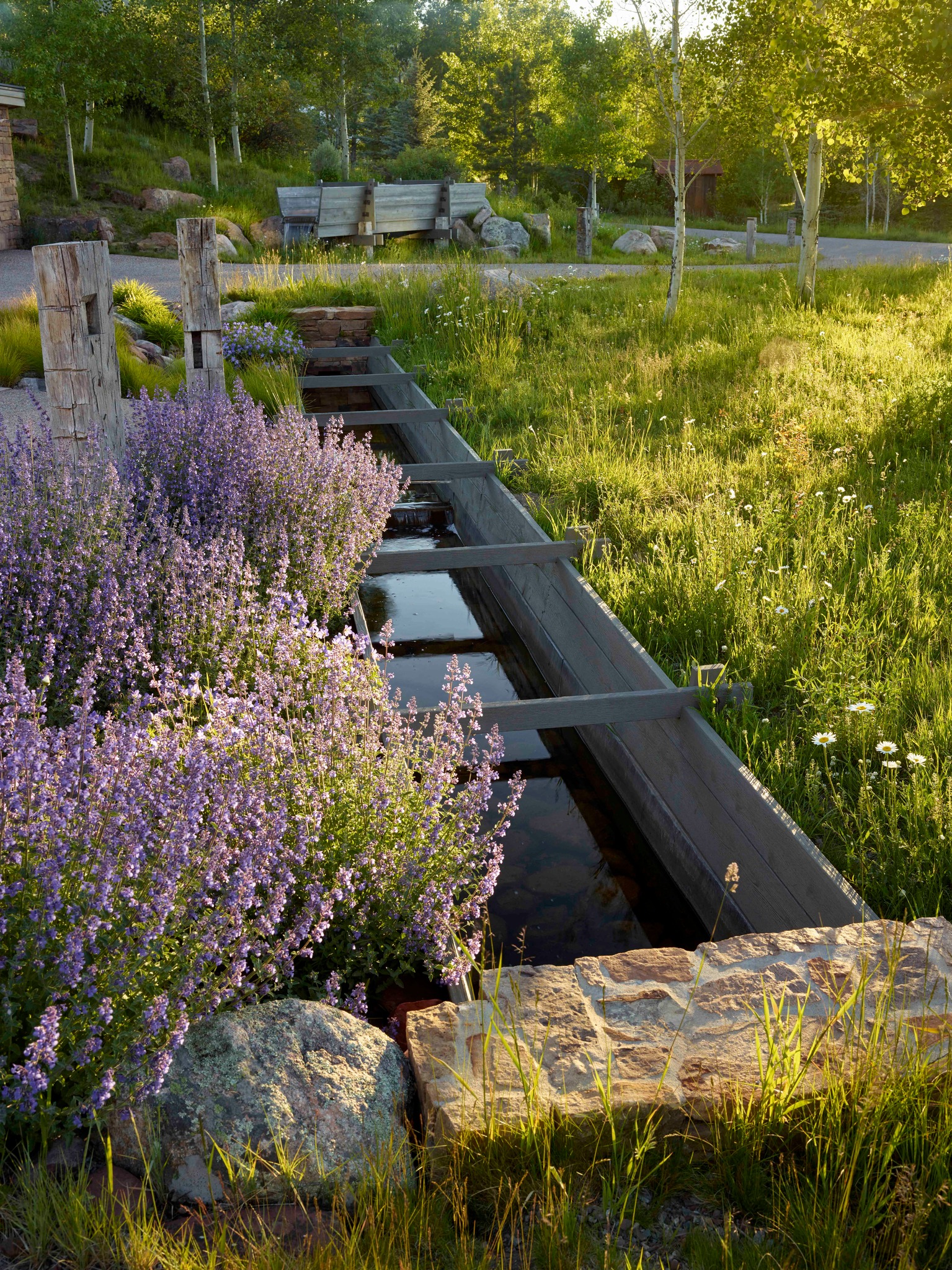 With our work, we often use the word parti—short for parti pris—to describe the driving concept behind a design. Synonyms for parti pris might include preconceived notion, bias, or preconception. Understanding the direct translation pulls back the curtain—concepts are informed by years of experience, yet one of the inherent joys of the design process is discovering new ideas💡 that can shift the outcome.
Integrating site history throughout the design may have been mentioned early on, but you do not know how it will manifest until you’re detailing a water trough that collects runoff.
📸: @marionbrenner
#landscapearchitecture #landscapedesign #landscape #gardendesign #design #garden #outdoorliving #plants #luxurydesign #luxurylandscape #gardeninspiration #gardensofinstagram #landarch #landscapefirst #SustainableDesign #DetailsMatter #DesignWithPurpose #PlaceBasedDesign