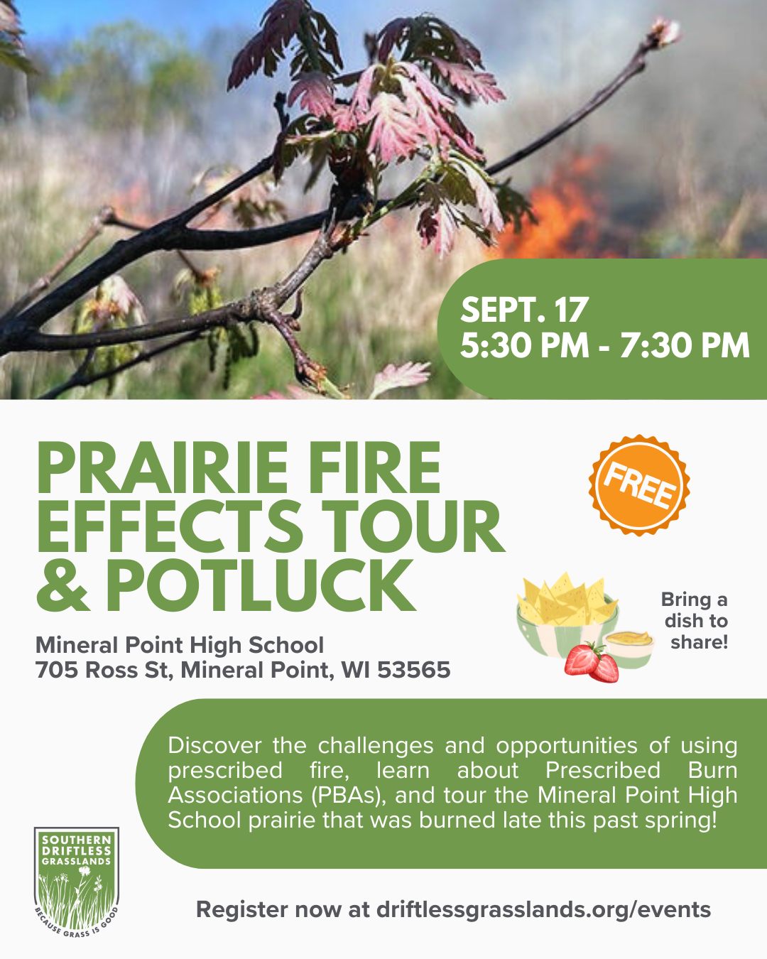 Let's talk about #prescribedfire 🔥🔥
Join us for an evening tour of the Mineral Point High School #prairie that was burned this past spring. Afterwards, we will come together for a community potluck (bring a dish!) and chat about the challenges and opportunities of using prescribed fire on private land. Discussion will focus on Prescribed Burn Associations (PBAs)- what they are, what barriers landowners may face in forming them, and where to find resources that connect landowners in Southwest Wisconsin with one another for prescribed fire purposes. Don't miss out! Register today!
🍝We'll provide the main dish. You bring a side or dessert to share!
🔗Register now at www.driftlessgrasslands.org/events (link in bio)!
🆓This is a free event.
🔁Share this post and invite your friends!
#conservation #wisconsin #driftlessarea #grasslands #conservationeducation #prescribedburnassociation #wisconsinconservation