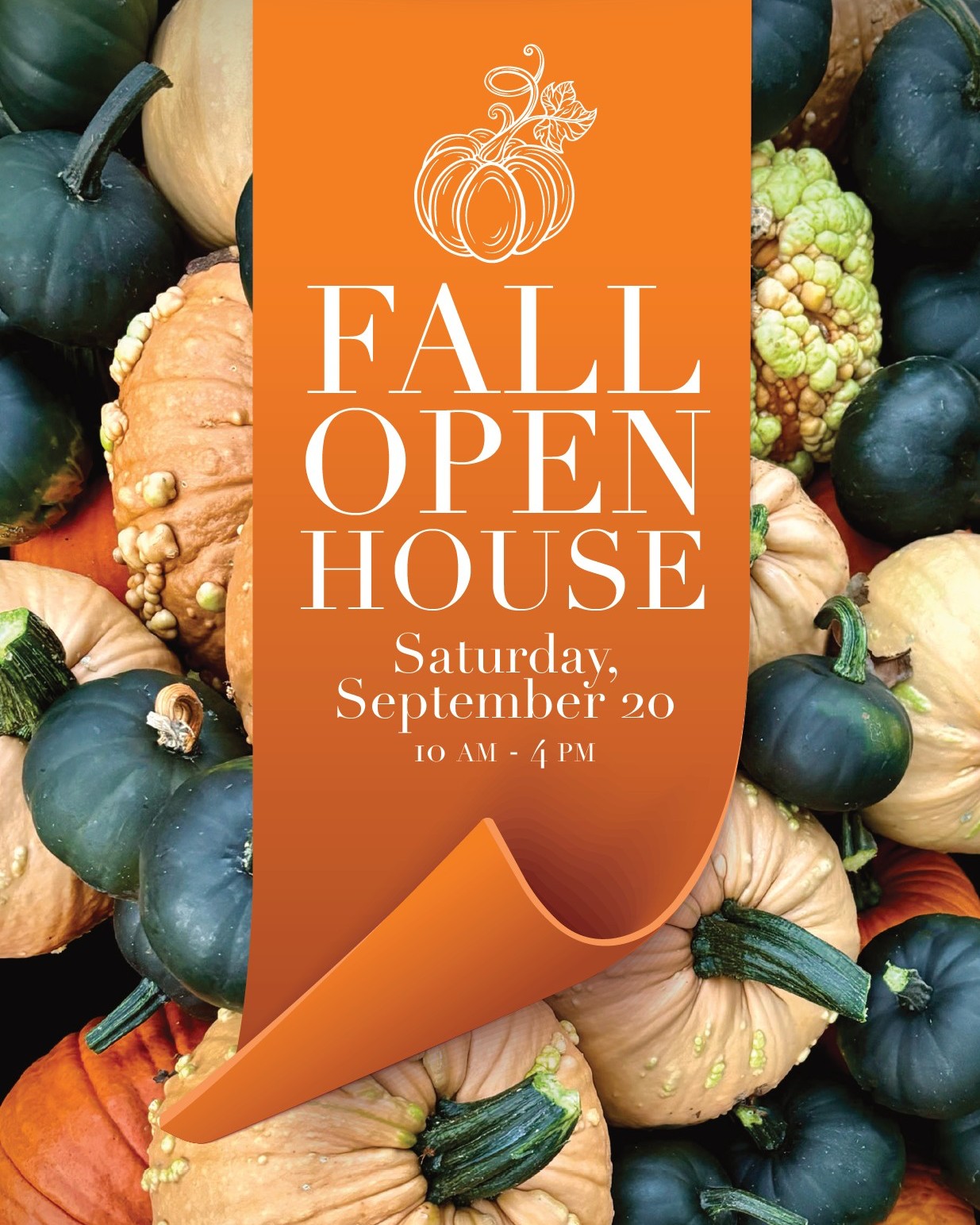 Save the date! Join us September 20 for Fall Open House from 10-4: pumpkin stacks, mums, fall decor, drop-in planters, succulent pumpkins...all things fall. Makin' It Pop will provide delicious treats and Bell Street Studio will be making beautiful bows for our fall wreaths. See you then!