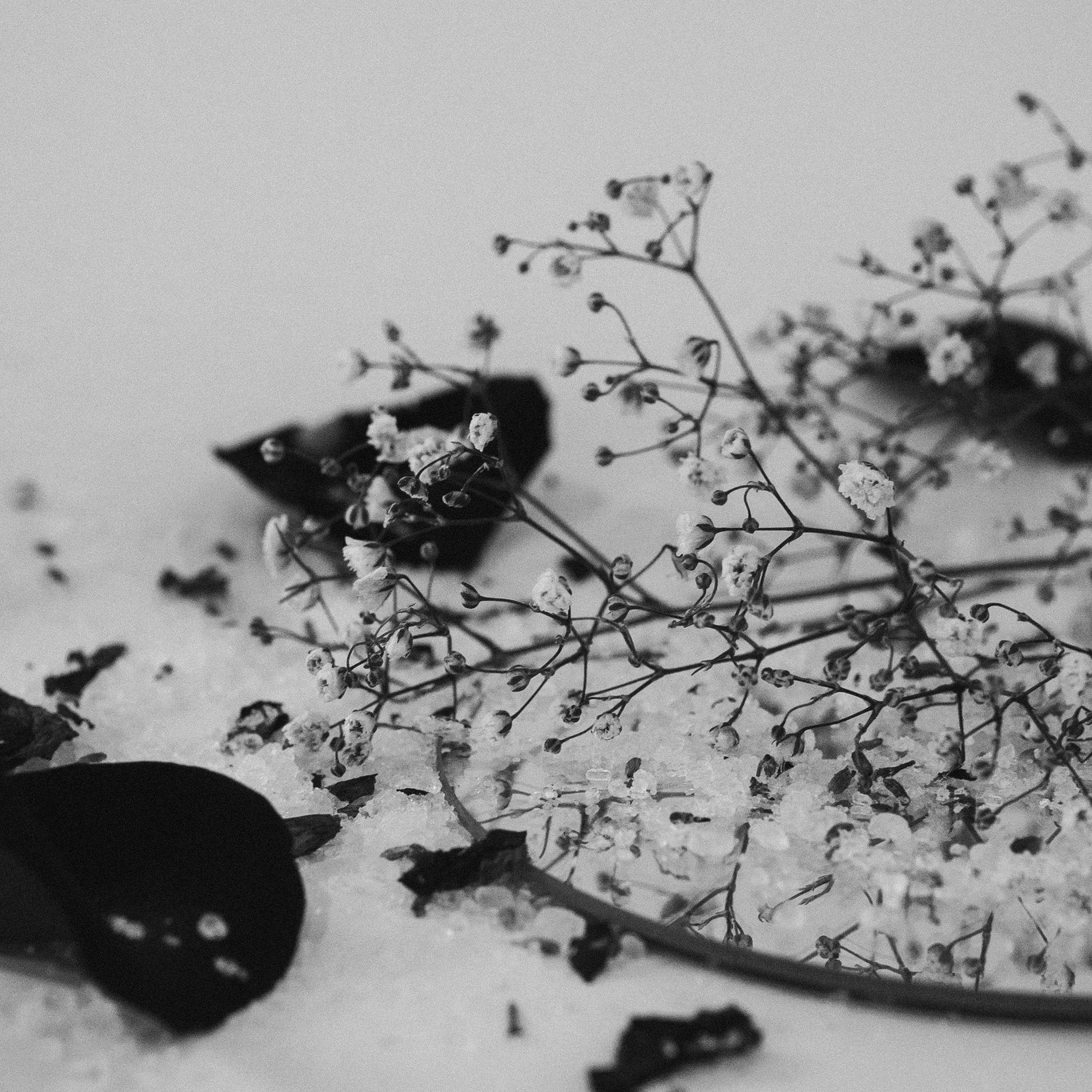 “The Lord is near to the brokenhearted and saves the crushed in spirit.” – Psalm 34:18
The nearness of God is not merely a feeling; it is a theological reality. The God who is enthroned in heaven also bends low to dwell with the brokenhearted. The One who is infinite in glory chooses to be intimately present in our pain.
Psalm 34:18 reminds us that God’s response to suffering is not distance, but proximity. He is "near" the Psalm reminds us. He does not remain a spectator to human sorrow.He enters into our grief, carries our burdens, and binds our wounds. His presence with the brokenhearted is not just emotional support, it is salvation, deliverance, and the restoration of hope, life, vigor, and purpose.
When we are crushed in spirit, we may feel abandoned. It is precisely in those moments that God draws near. His nearness is the anchor that keeps us from being swept away by despair. Often our pain so engulfs us that we feel abandoned because we forget to look for God in our brokenness.
Looking back on the years where I felt broken, I can see all of the ways that God was working around me, in me, and how He was with me. But in those moments, I felt utterly alone. Praise God that even if we feel alone, we never truly are!
Your pain does not push God away. It pulls Him closer. Remember to take your eyes off your brokenness and place them fully on Him. He is always near and is always working. Ask Him to reveal Himself to you. He is so kind to hear and respond to us!
A prayer for those walking in brokenness today:
"Lord, in my brokenness, remind me that You are near. When my spirit feels crushed, anchor me in Your presence. Let me find comfort not in the absence of pain, but in the reality of Your nearness. Be my refuge, my healer, and my hope. In the mighty name of Your Son, Jesus. Amen."