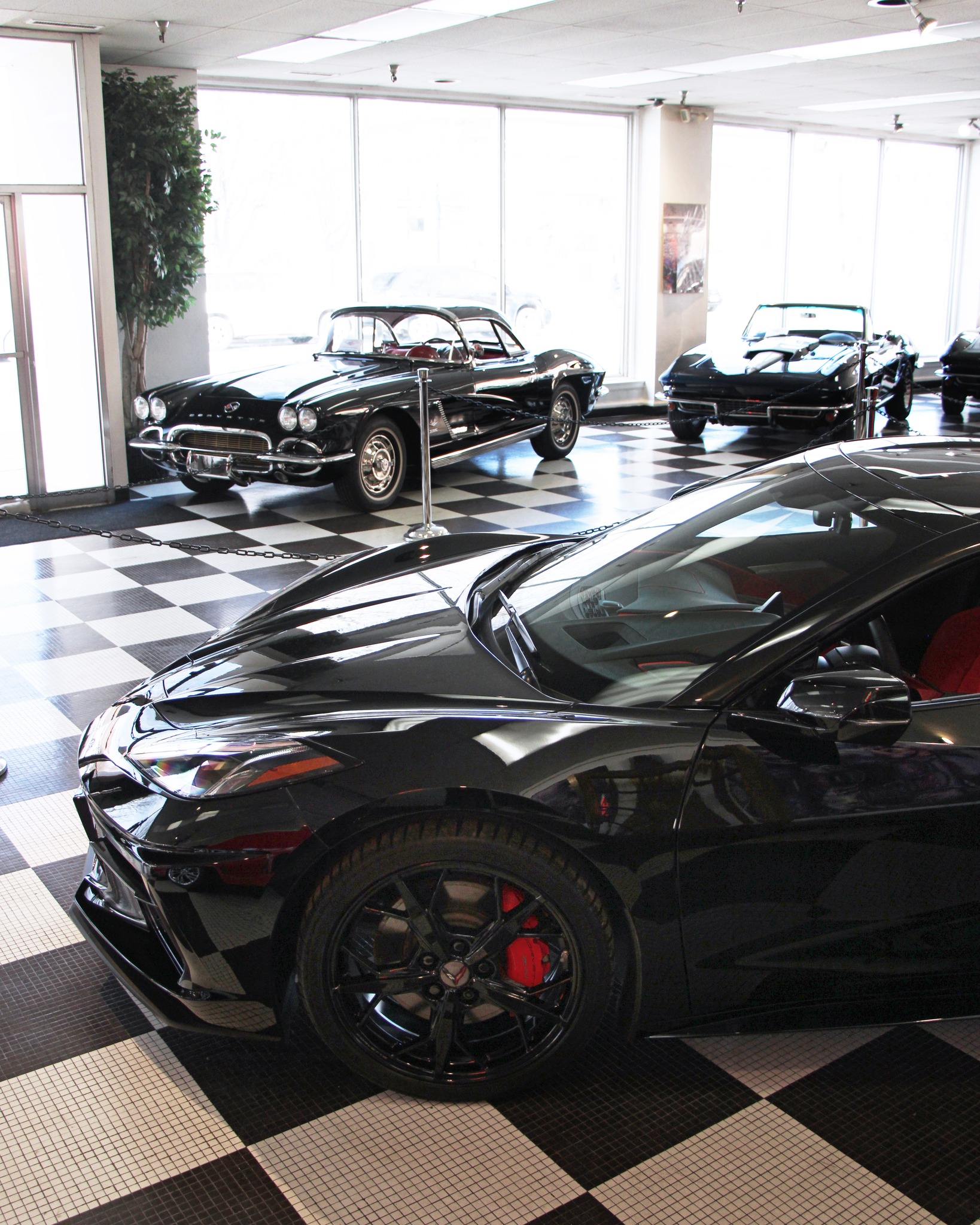A variety of Corvettes inside @american_dream_machines, one of my clients 📸 They have an incredible 70+ car inventory featuring American collector vehicles, exotics, vintage European cars and more.
Browse their inventory online: admcars.com 💻
#americandreammachines #classiccars #classiccar #vintagecars #vintagecar #corvette #corvettes #classiccorvette #classiccorvettes #vintagecorvette #vintagecorvettes #c8corvette #corvettec8 #corvettenation #corvetteworld #corvettelifestyle #corvettelife #corvettefamily #corvettegram #chevroletcorvette #collectorcars #collectorcar #classiccarlife #dreamcar #dreamcars #classiccarsdaily #classiccarlifestyle #scm2178 #desmoines #desmoinesiowa