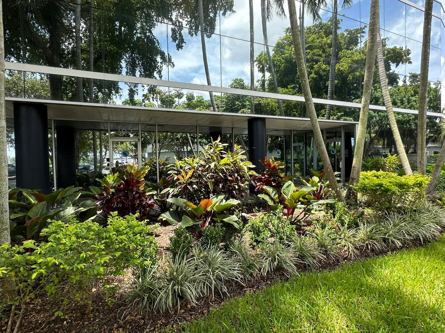 Lakeshore Business Center — Commercial Landscape Refresh 🍃
Clean lines, low-maintenance plantings, and year-round curb appeal. At Lakeshore Business Center, we simplified the landscape with drought-tolerant, Florida-friendly species and a refined planting layout that supports easy maintenance and long-term health. Our team also manages ongoing landscape care, ensuring the property remains consistent, polished, and welcoming for tenants and visitors.
#CommercialLandscaping #LandscapeMaintenance #SouthFloridaDesign #FloridaFriendlyLandscape
#SouthFloridaCommercialRealEstate #MaintenanceMatters