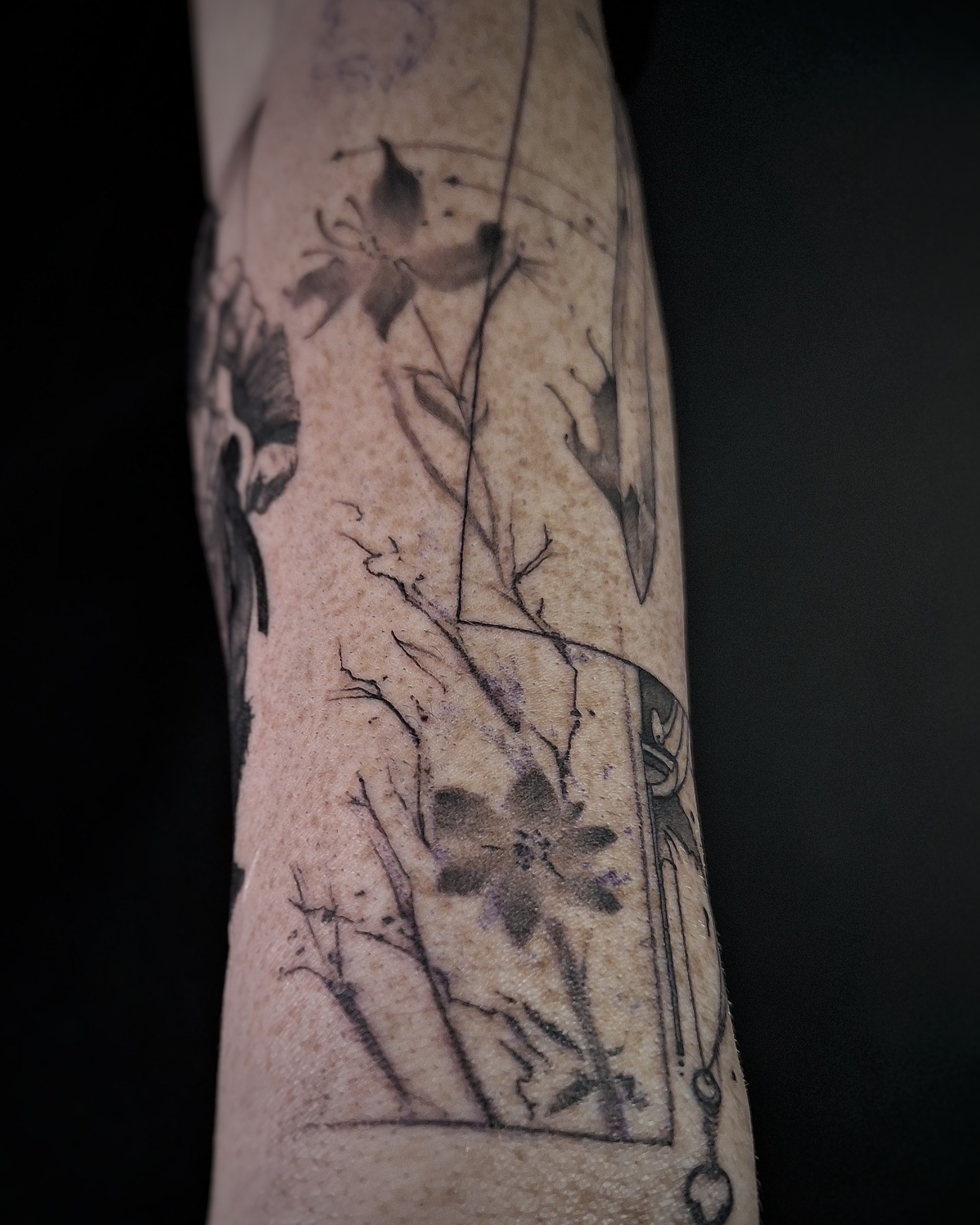 Abstract flower frame 🌸 by @@st._ellie
✨ Fine lines, delicate shading, and an ethereal vibe — this floral piece is all about balance between softness and structure. The abstract frame and natural elements make it feel like a fleeting moment captured on skin forever.
Done at @thelostoasistattoo 🖤
✨ Want ink like this? 👉 DM @st._ellie or email deroy.eliot@gmail.com
to book your spot! ✉️
⚡ Don’t forget: we’ll be at Tattoo FX in Waregem, 27–28 September! Eliot, Ninke, and Jesper will be there !! ready to create something just for you. You can also grab one of our flash designs (check our feed & highlights!). Spots are still available, so don’t wait too long