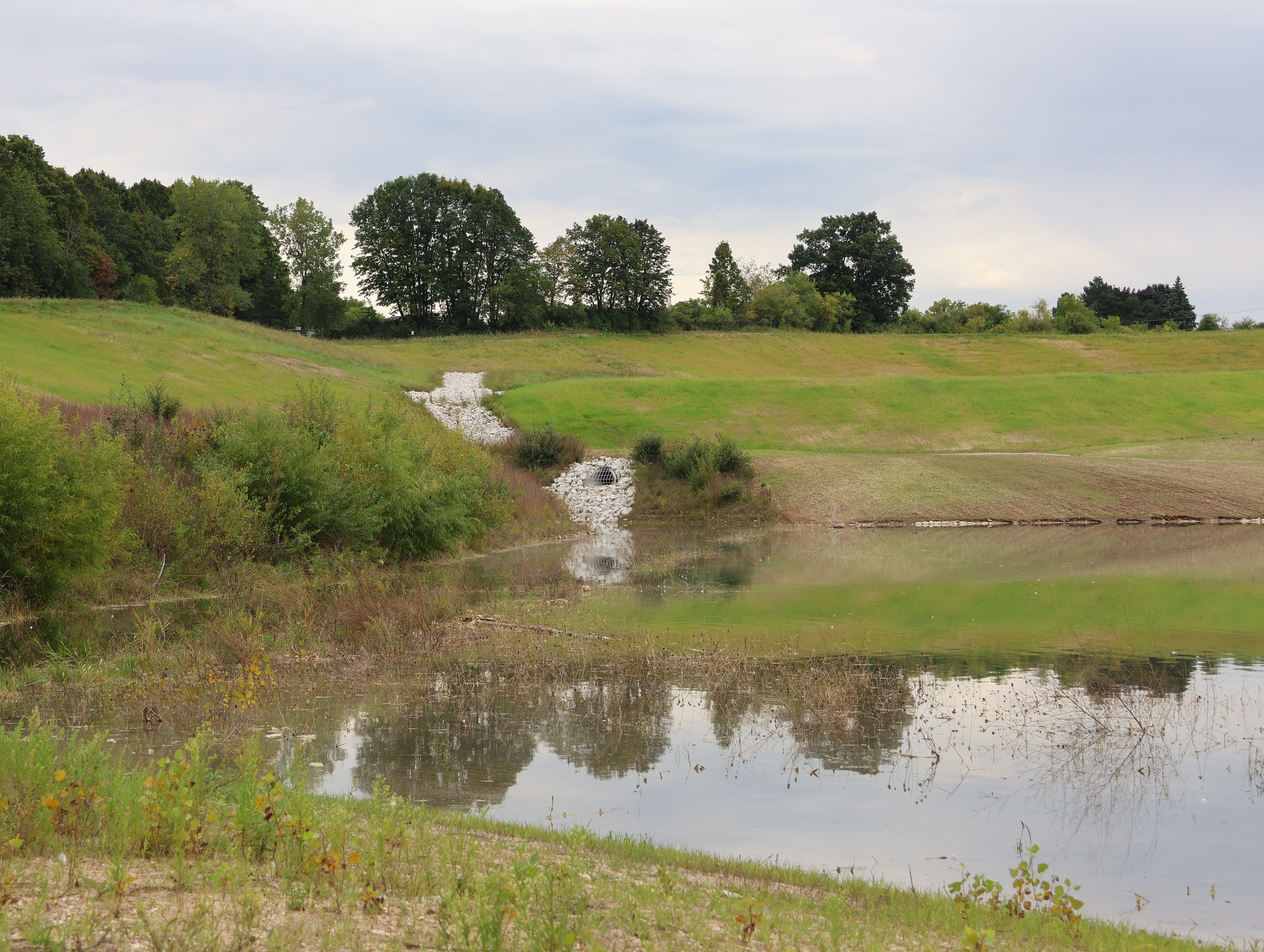 Here's a spotlight on another site we manage in Southeast Wisconsin. During the native hydroseeding process completed in July by @k@kulig_construction_llc , we incorporated @profile.products biological soil amendments and specialty erosion control products. Despite receiving approximately 11.5" of rain during heavy storms in early August and featuring slopes as steep as 2:1, the site successfully withstood the intense rainfall.