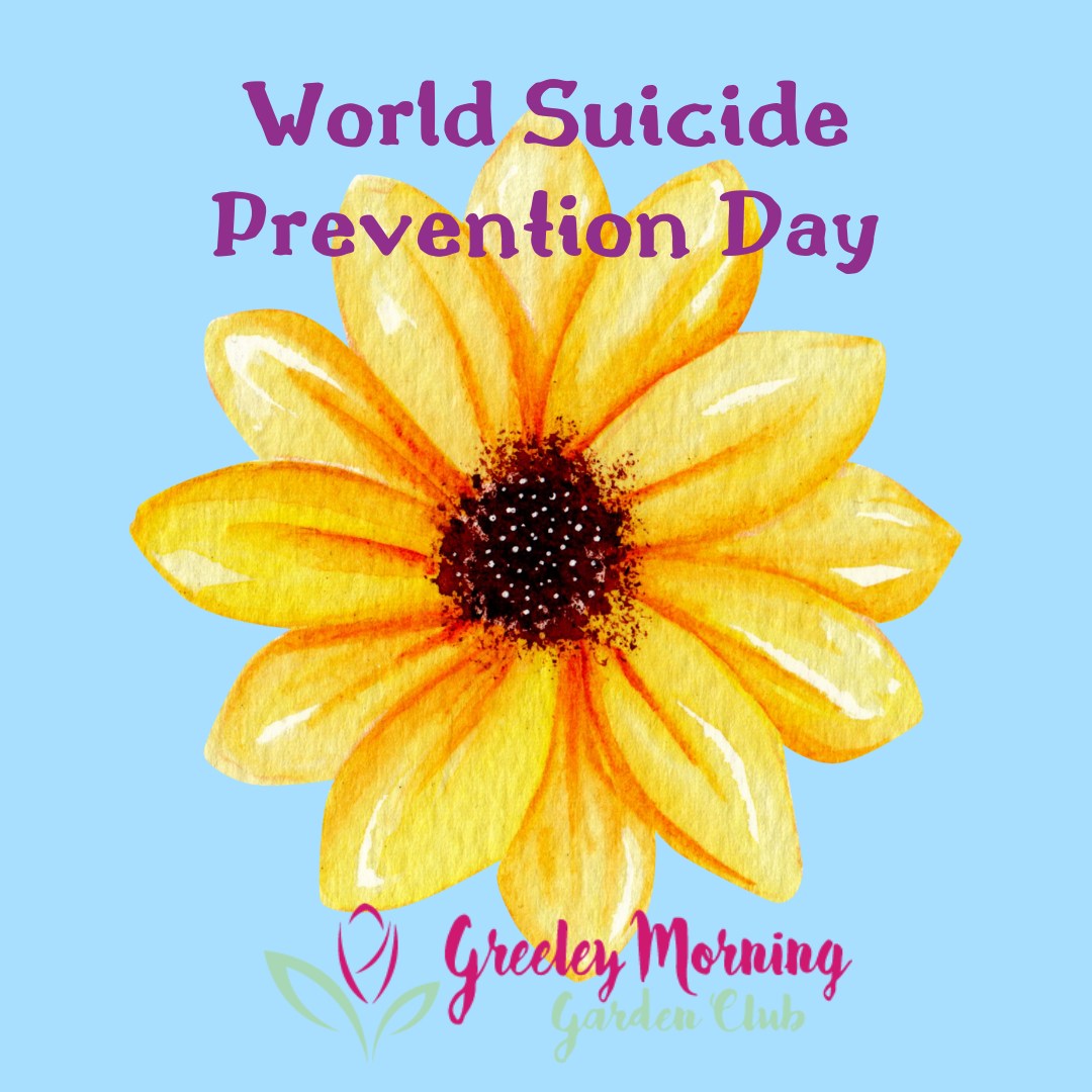 A single flower can brighten a whole room—just like a single gesture can lift a heart. 🌼
Today, check in, listen, and love. 💛
#WorldSuicidePreventionDay