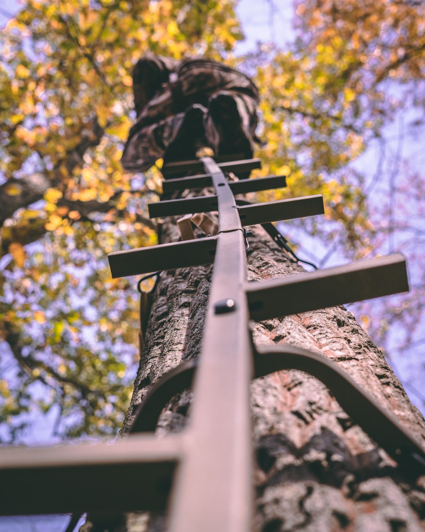 Reach new heights without compromise. Gladiator Sticks in Trophy Blendz-in Brown stand 20 feet tall, getting you up the tree and into your stand while easily navigating limbs and tree irregularities that others can't.
FREE Shipping Site-Wide 📦
Shop today at the link in bio or your local dealer.
#TrophyTreestands
