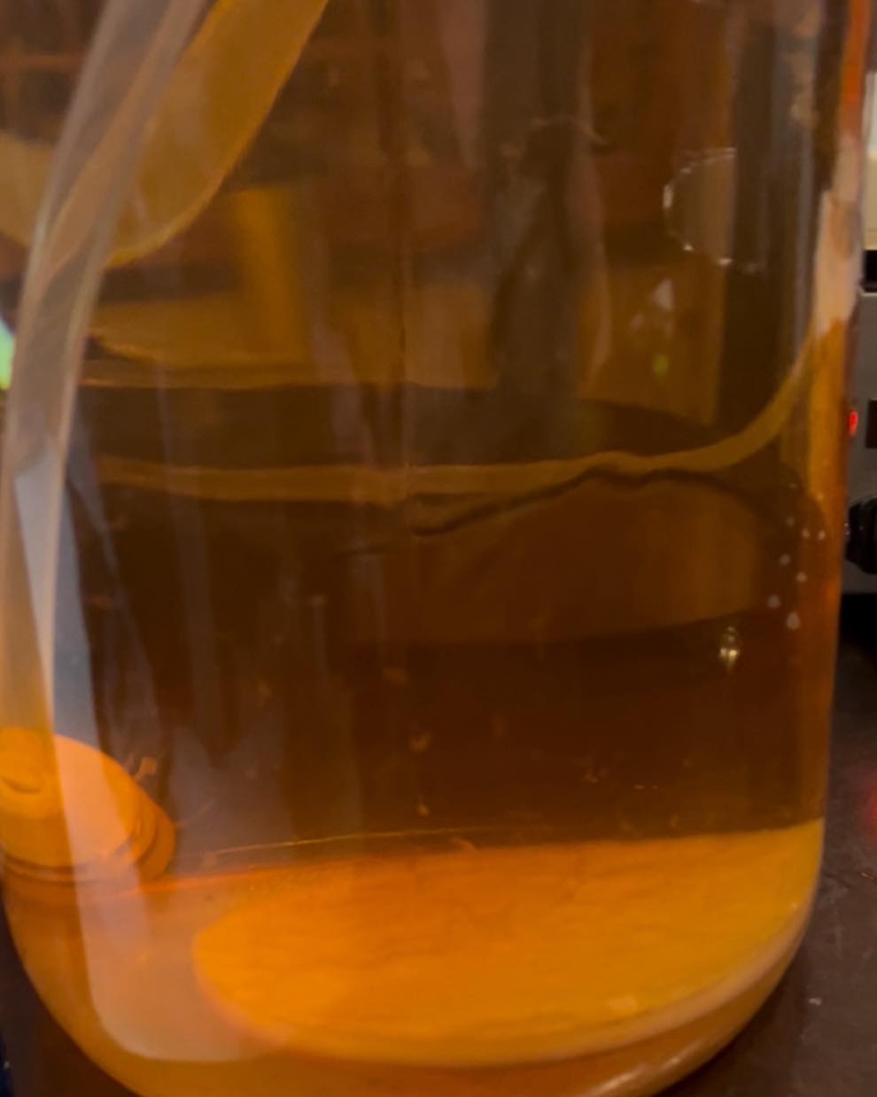 🔬 SCIENCE SPOTLIGHT: What’s that cloudy stuff in your live vinegar?
Meet the “mother” – a living community of beneficial Acetobacter bacteria that transforms alcohol into acetic acid! Unlike dead, pasteurized vinegar, our live vinegars contain these active cultures that:
✨ Continue developing complex flavors
✨ Provide beneficial enzymes
✨ Maintain probiotic properties
The mother isn’t a flaw – it’s a feature!!! 🧪
Join our Group forum “Acid & Alchemy” for further information:
https://www.thetickledpickler.com/group/acid-alchemy/discussion/d49df30c-6709-4441-8b47-89a89d2aabc6
#livevinegar #FermentationScience #TheTickledPickler #ProbioticFoods #FoodScience