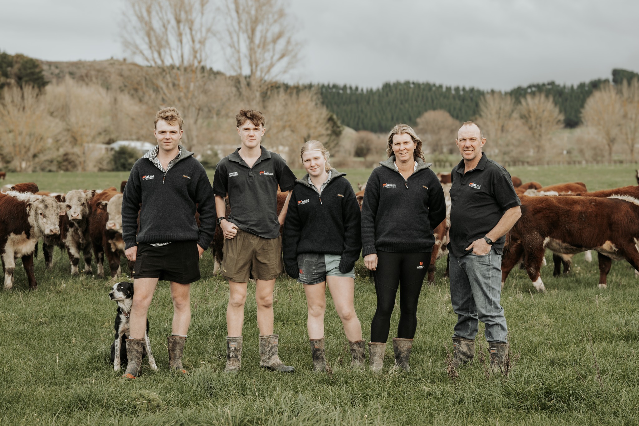 Super excited to launch our new website, check it out at the link below!
www.rivertonezicalve.nz