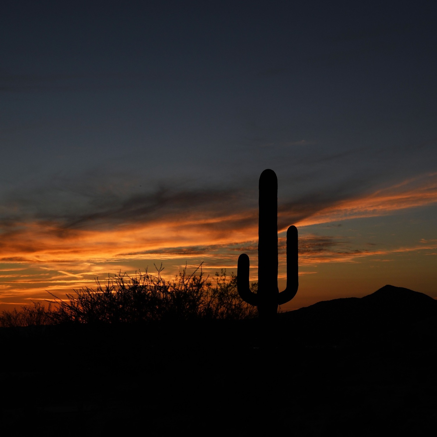 Arizona 2025 🐦🔥 ☀️ 🌵 🦂 🐍
@bartlettlake_marina & @highlineautos
#NaturePhotography #LandscapePhotography #Arizona #CarShow #Phoenix #CarPhotography #BartlettLake #CandidPhotography #PHX #CandidPHX #CandidSRQ