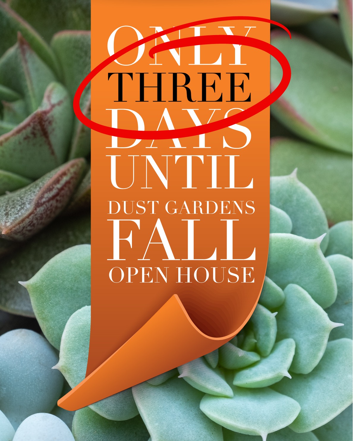 Only 3 days until Dust Gardens' Fall Open House! This Saturday, September 20 from 10-4, celebrate all things fall with pumpkin stacks, mums, fall drop-in planters, succulent pumpkins, fall and Halloween decor, bedding plants, and indoor plants. Makin' It Pop will join us with charcuterie bites and Bell Street Studio can create custom bows for your fall decor. Please join us!