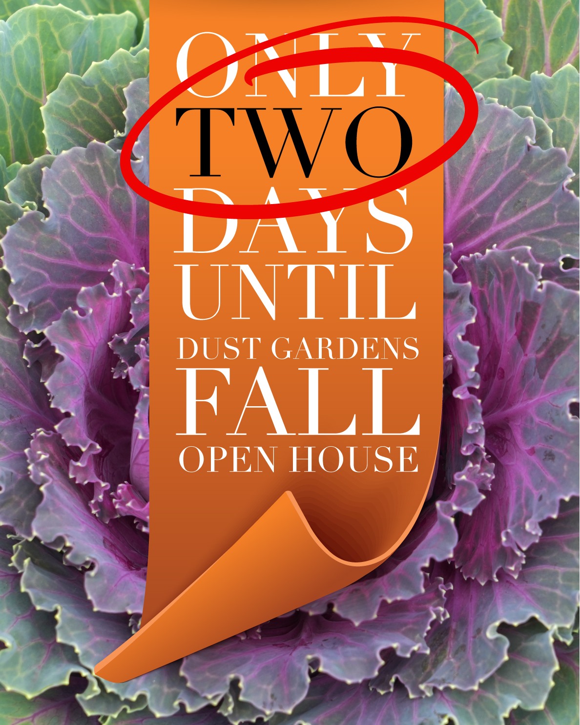 Only 2 days until Dust Gardens' Fall Open House! This Saturday, September 20 from 10-4, celebrate all things fall with pumpkin stacks, mums, fall drop-in planters, succulent pumpkins, fall and Halloween decor, bedding plants, and indoor plants. Makin' It Pop will join us with charcuterie bites and Bell Street Studio can create custom bows for your fall decor. Please join us!